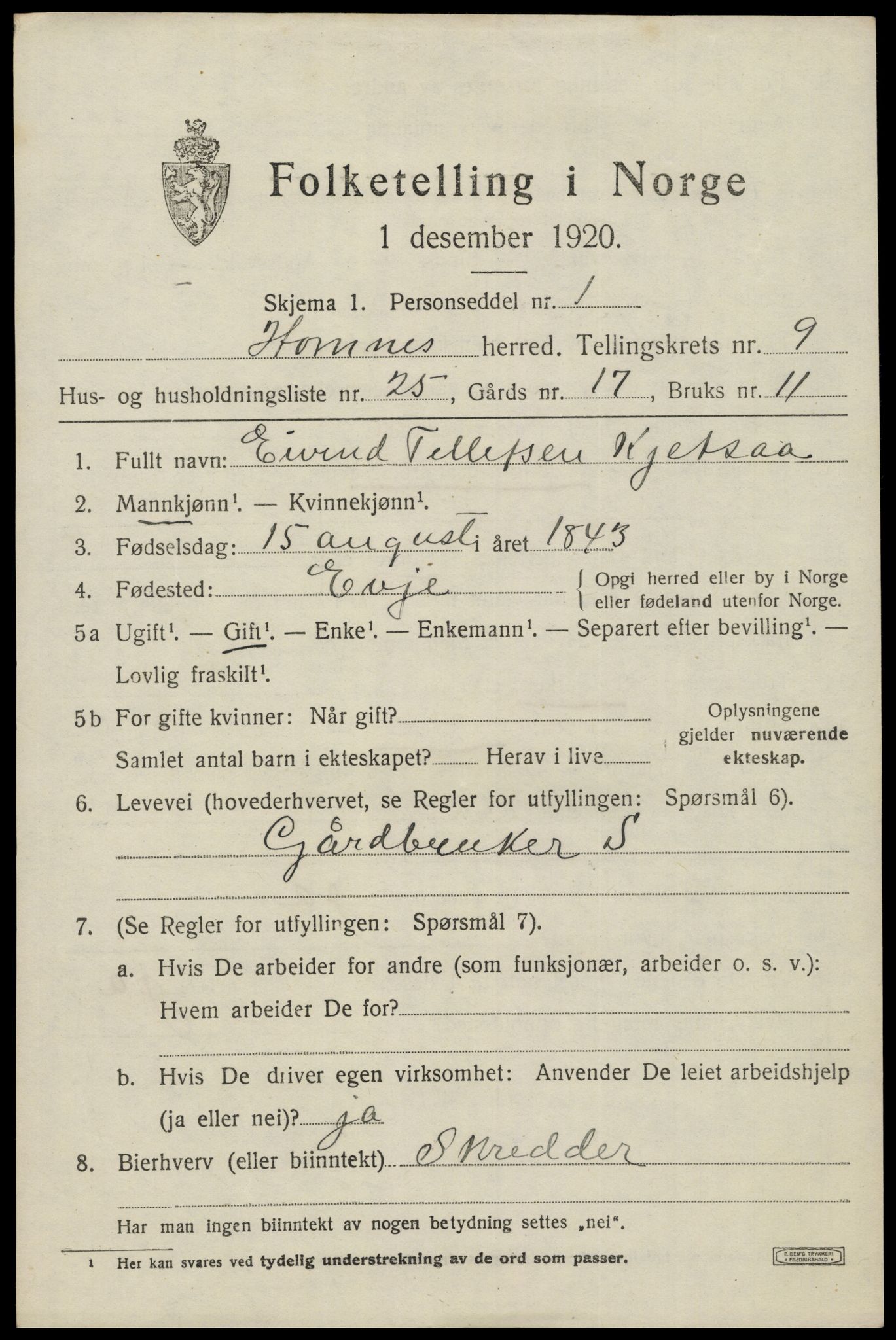 SAK, 1920 census for Hornnes, 1920, p. 2493