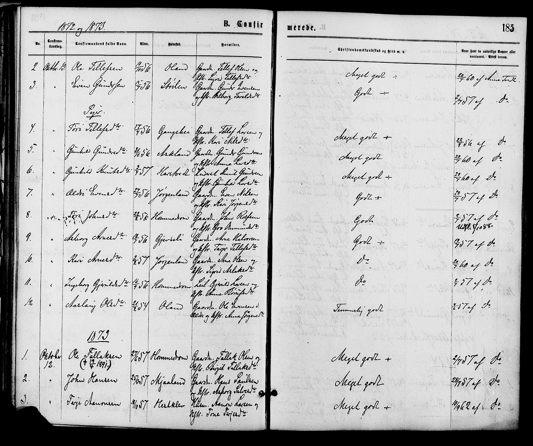 Åmli sokneprestkontor, AV/SAK-1111-0050/F/Fa/Fac/L0009: Parish register (official) no. A 9 /2, 1869-1884, p. 185