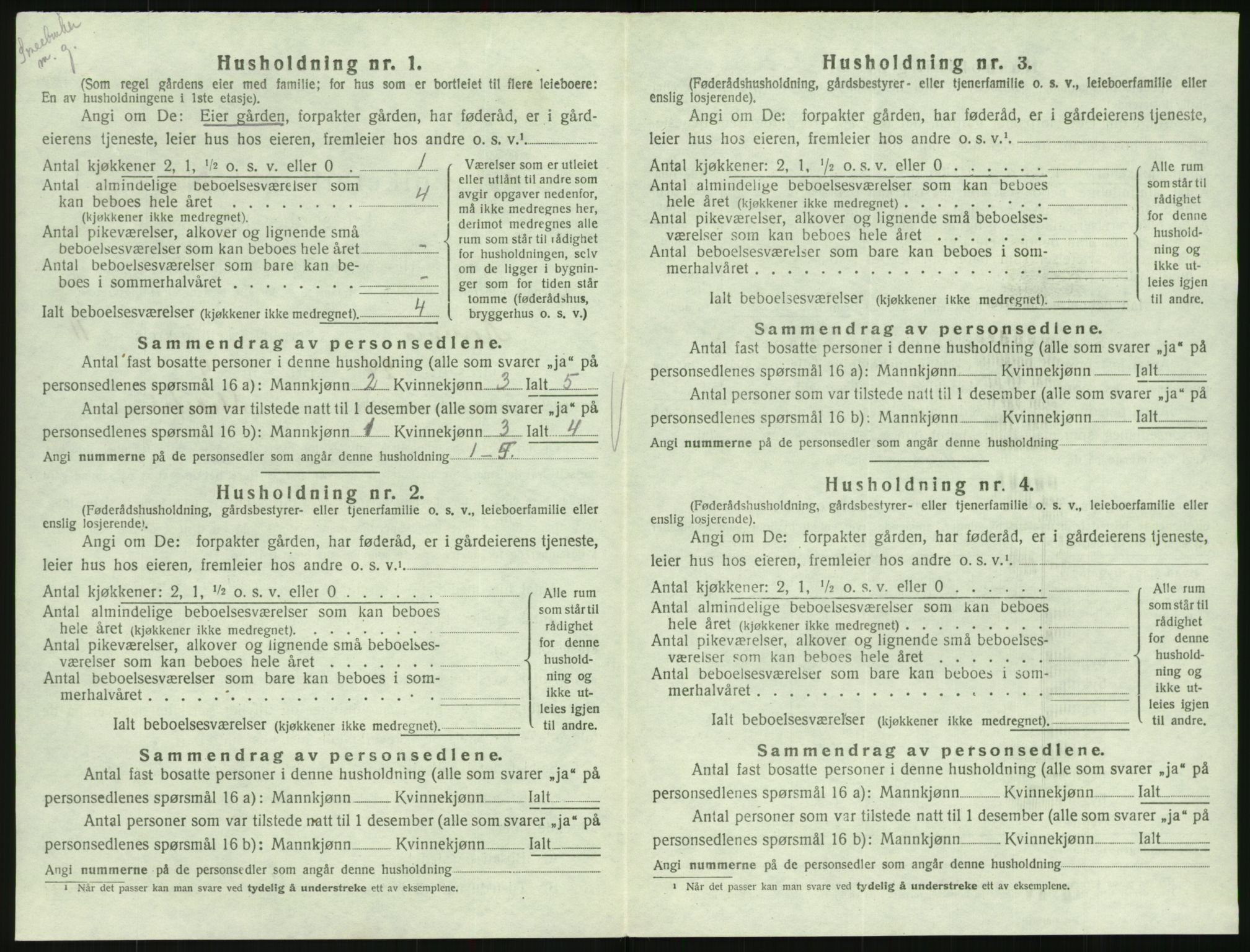 SAK, 1920 census for Hornnes, 1920, p. 440