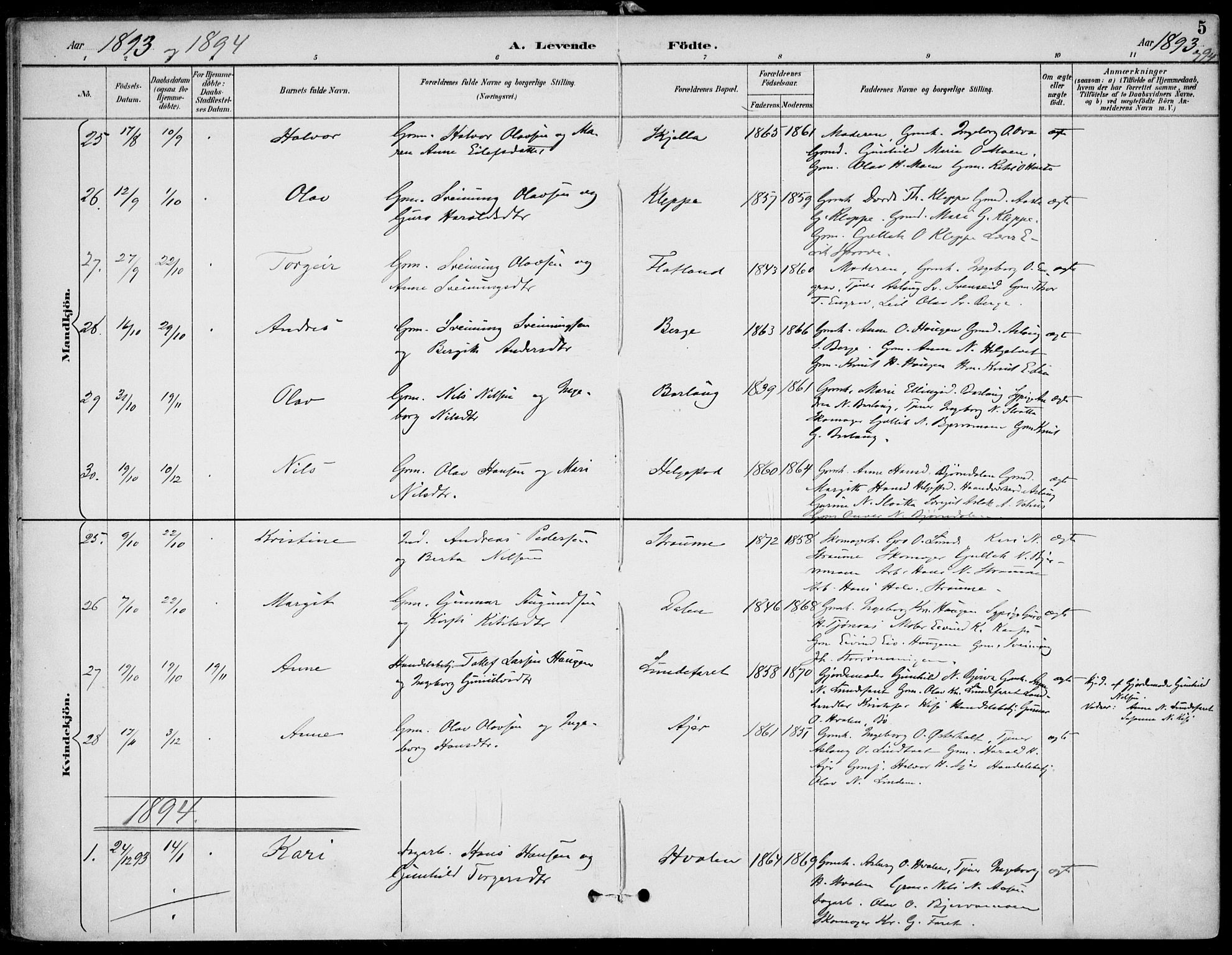 Lunde kirkebøker, SAKO/A-282/F/Fa/L0003: Parish register (official) no. I 3, 1893-1902, p. 5