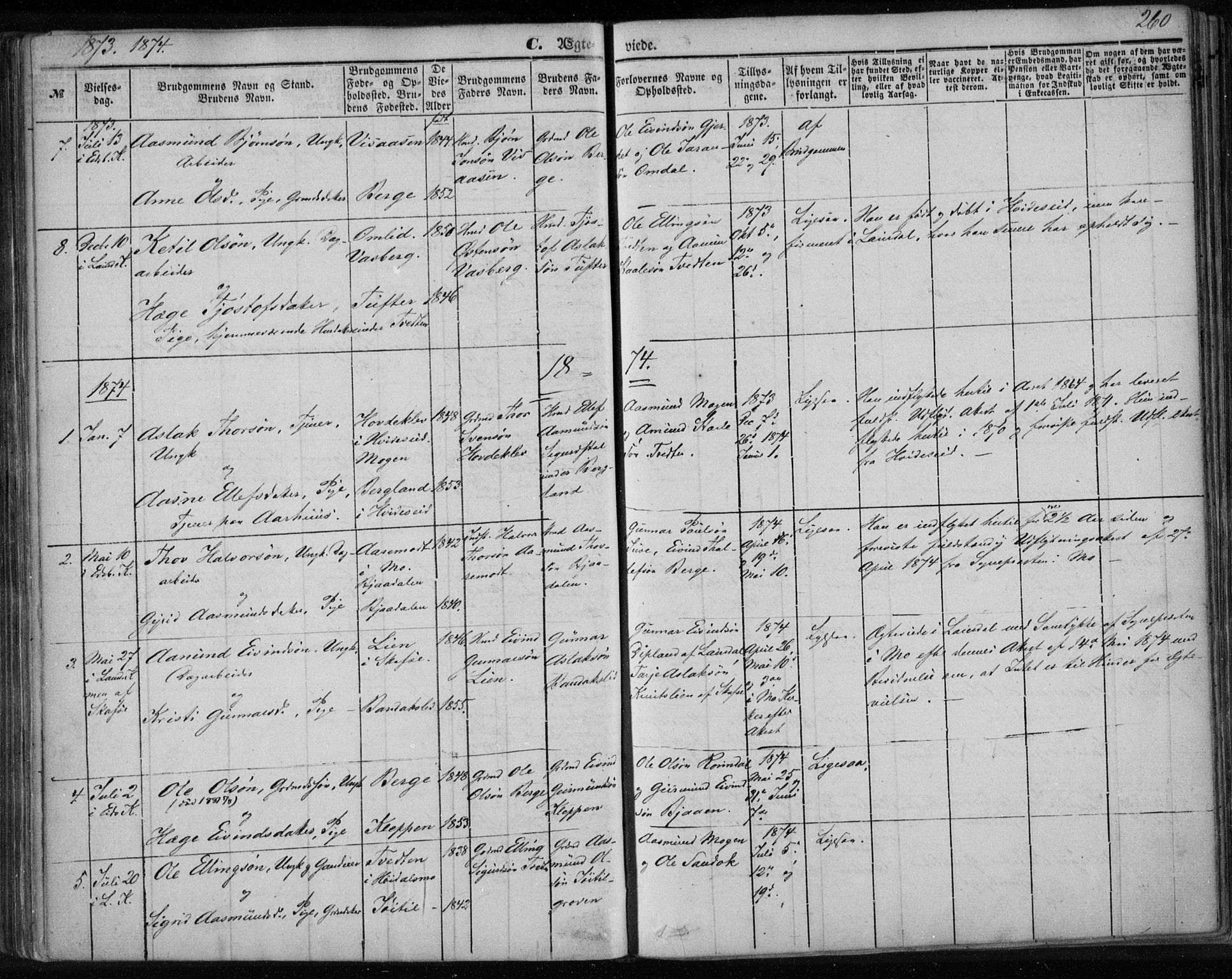 Lårdal kirkebøker, SAKO/A-284/F/Fa/L0006: Parish register (official) no. I 6, 1861-1886, p. 260