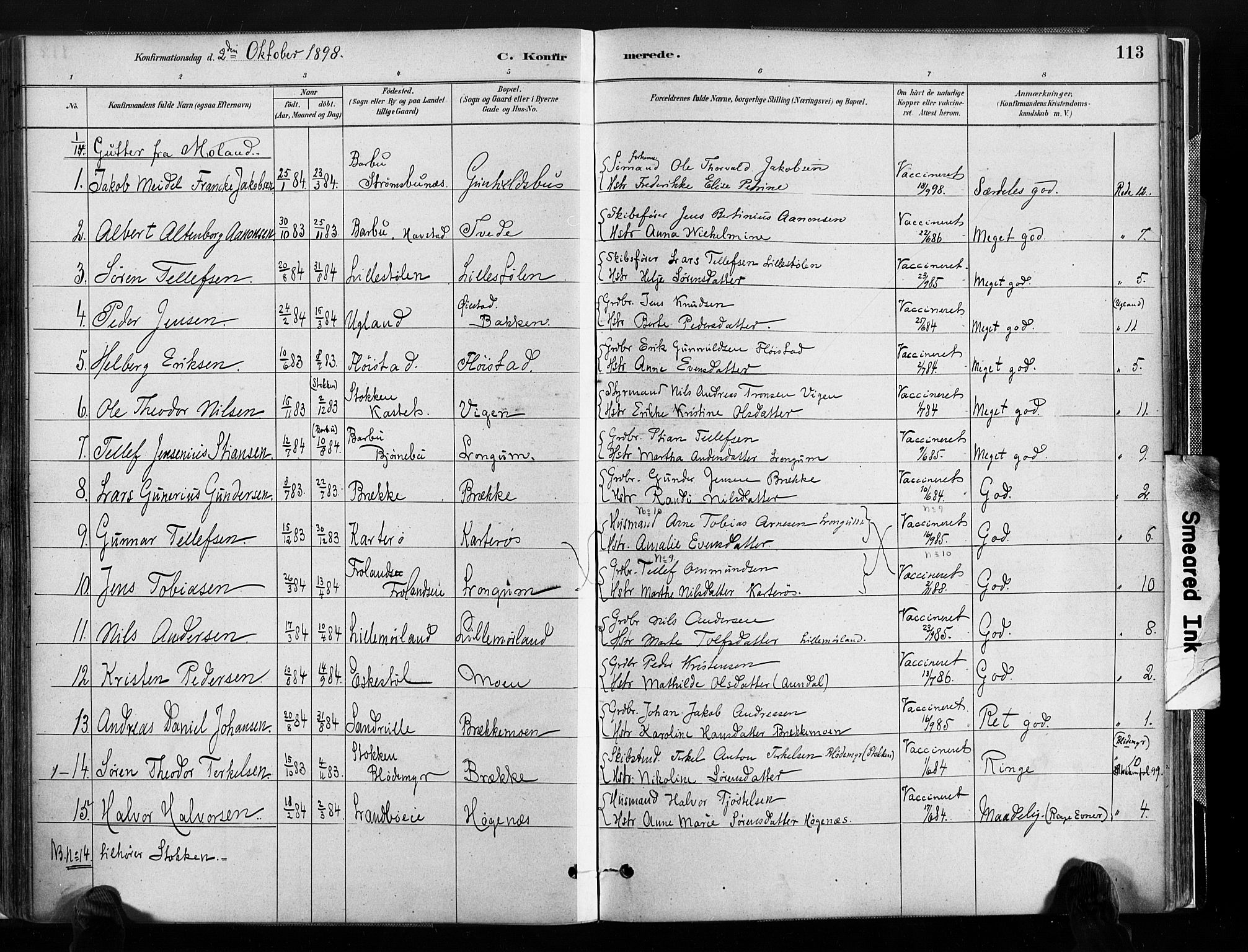 Austre Moland sokneprestkontor, SAK/1111-0001/F/Fa/Faa/L0010: Parish register (official) no. A 10, 1880-1904, p. 113