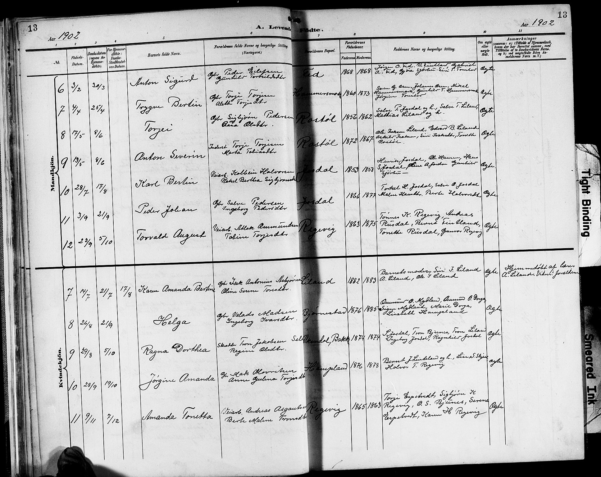 Sirdal sokneprestkontor, AV/SAK-1111-0036/F/Fb/Fbb/L0004: Parish register (copy) no. B 4, 1895-1916, p. 13