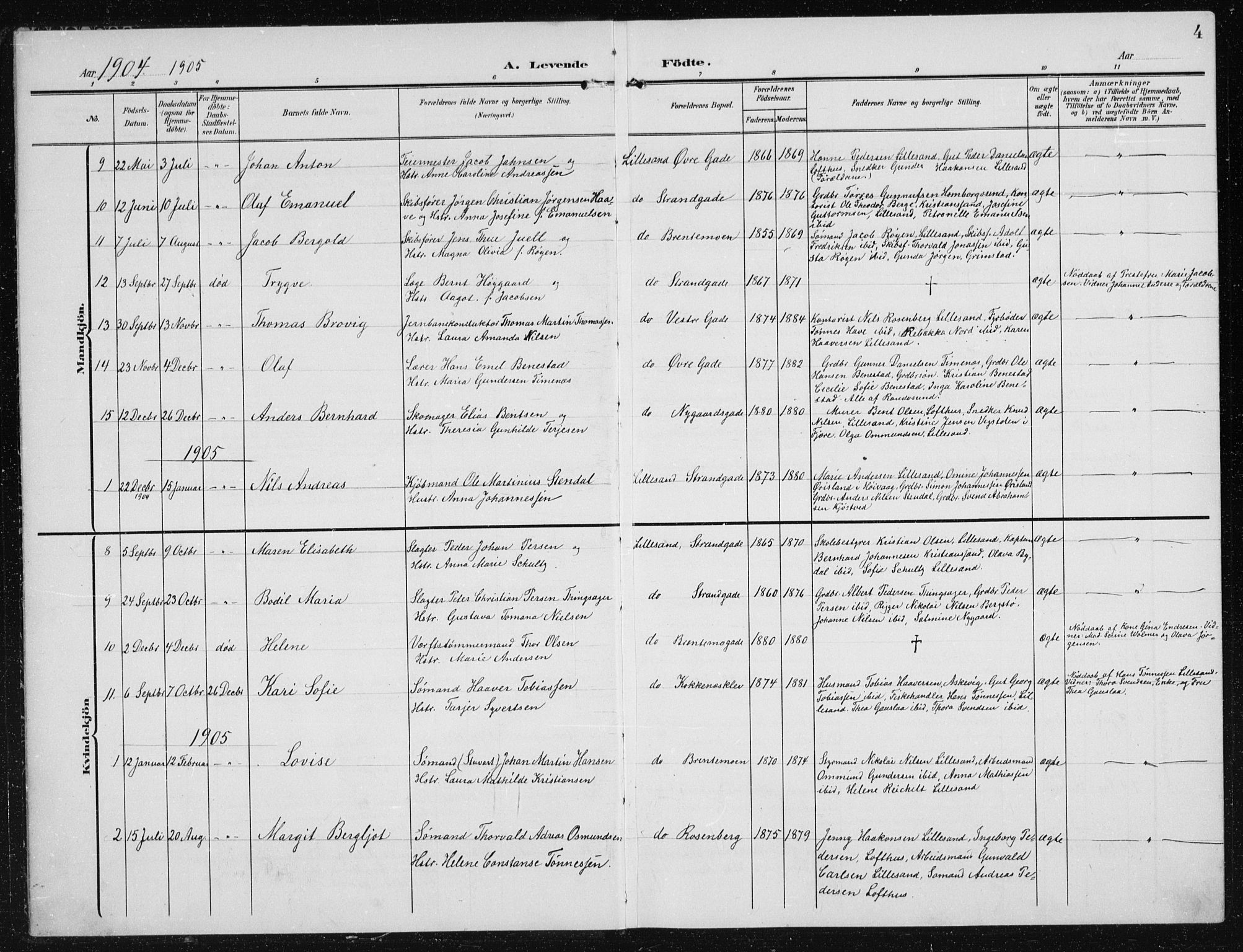 Vestre Moland sokneprestkontor, AV/SAK-1111-0046/F/Fb/Fba/L0002: Parish register (copy) no. B 2, 1904-1934, p. 4