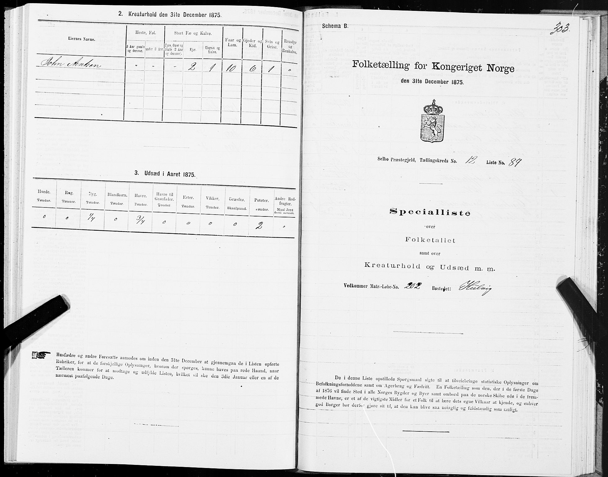 SAT, 1875 census for 1664P Selbu, 1875, p. 6303