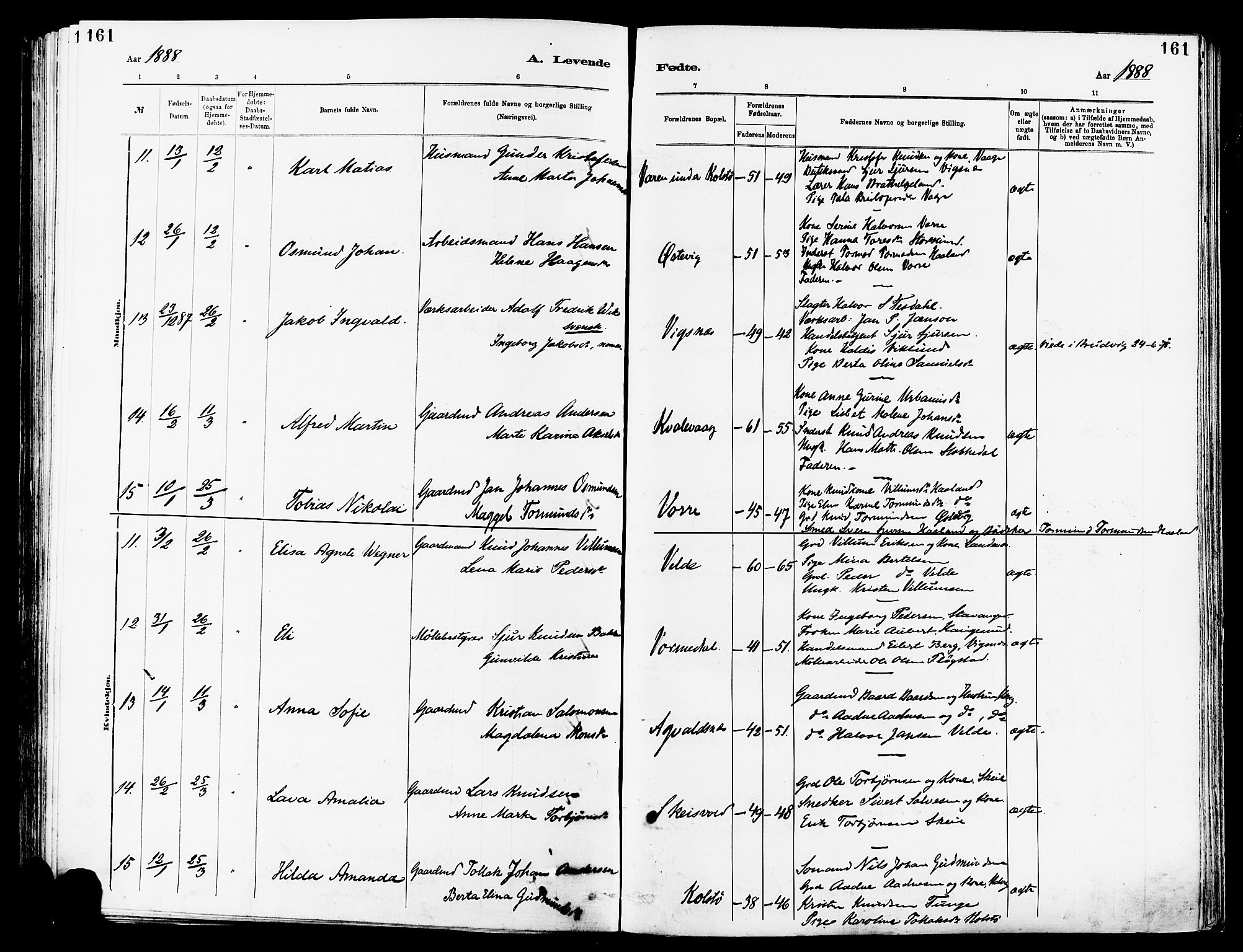 Avaldsnes sokneprestkontor, AV/SAST-A -101851/H/Ha/Haa/L0014: Parish register (official) no. A 14, 1880-1889, p. 161