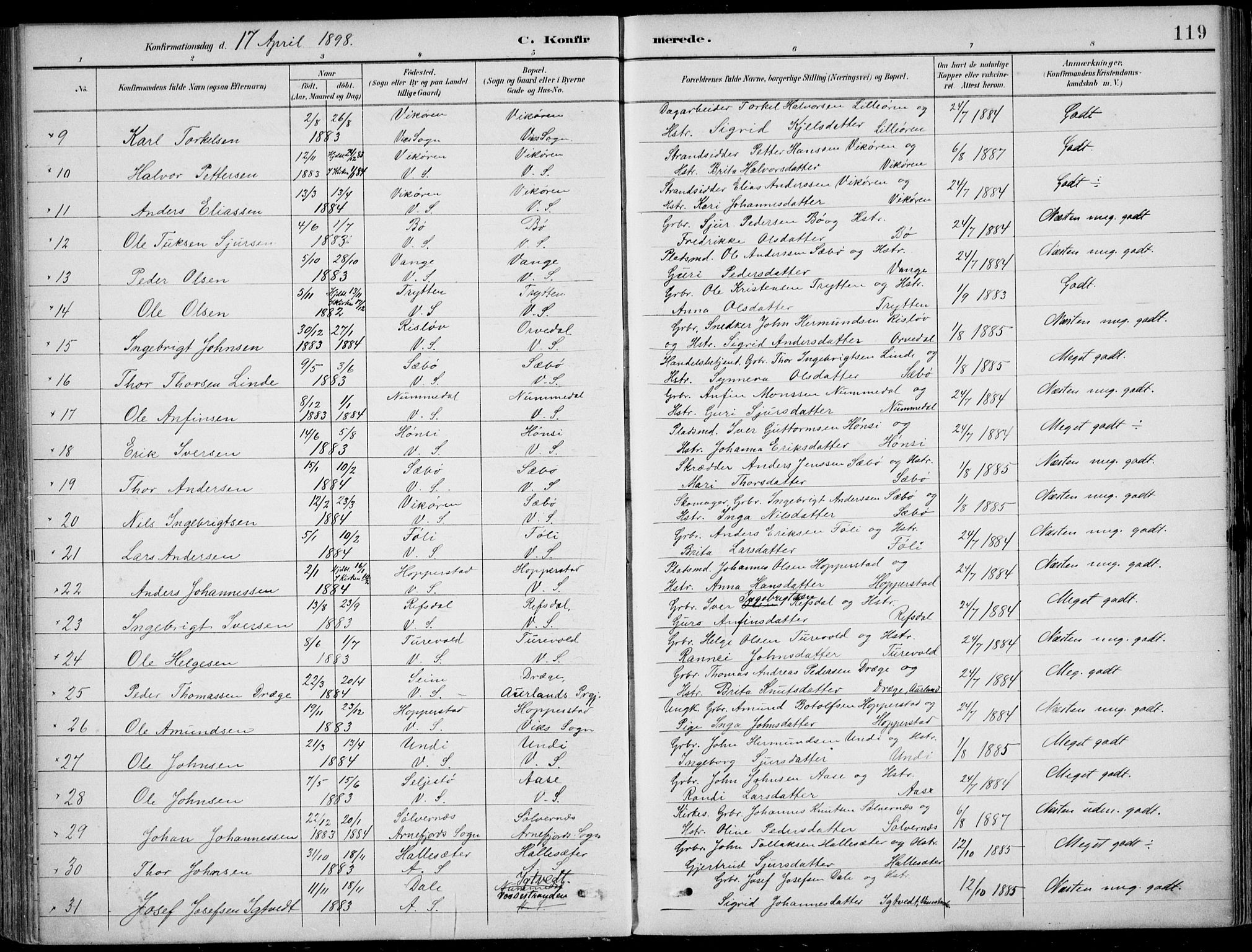 Vik sokneprestembete, AV/SAB-A-81501/H/Haa/Haab/L0002: Parish register (official) no. B  2, 1891-1907, p. 119
