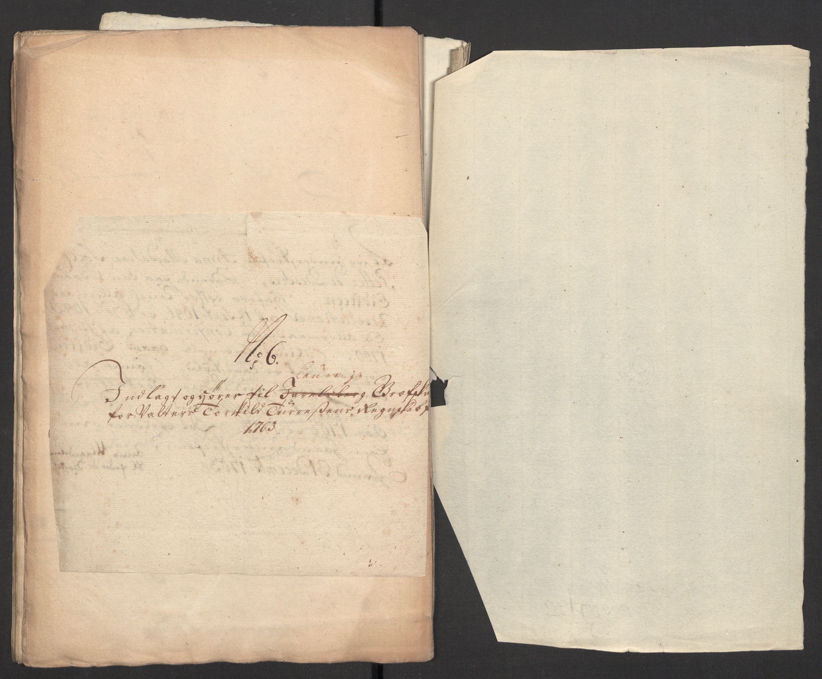 Rentekammeret inntil 1814, Reviderte regnskaper, Fogderegnskap, RA/EA-4092/R33/L1977: Fogderegnskap Larvik grevskap, 1702-1703, p. 155