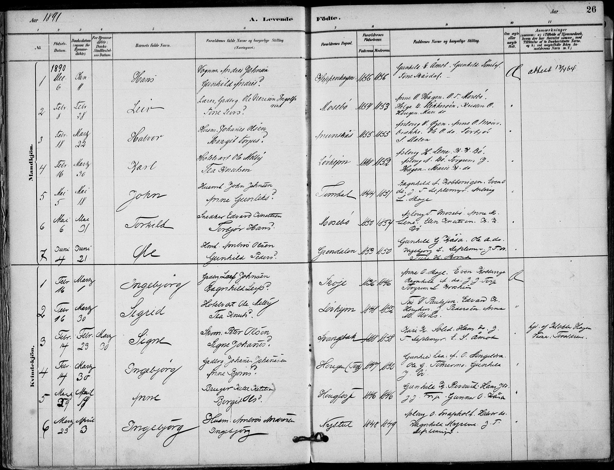 Hjartdal kirkebøker, SAKO/A-270/F/Fb/L0002: Parish register (official) no. II 2, 1880-1932, p. 26