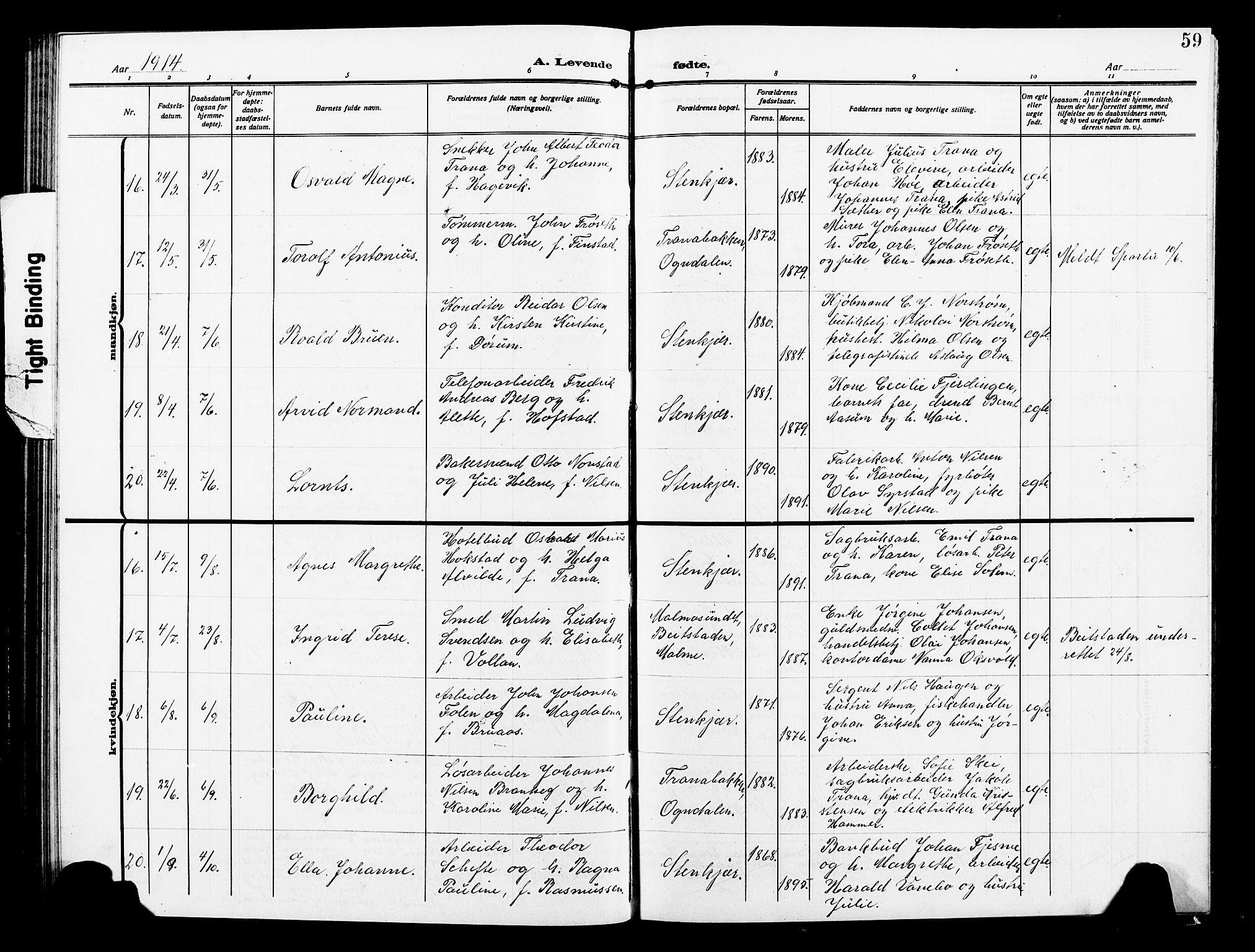 Ministerialprotokoller, klokkerbøker og fødselsregistre - Nord-Trøndelag, AV/SAT-A-1458/739/L0376: Parish register (copy) no. 739C04, 1908-1917, p. 59