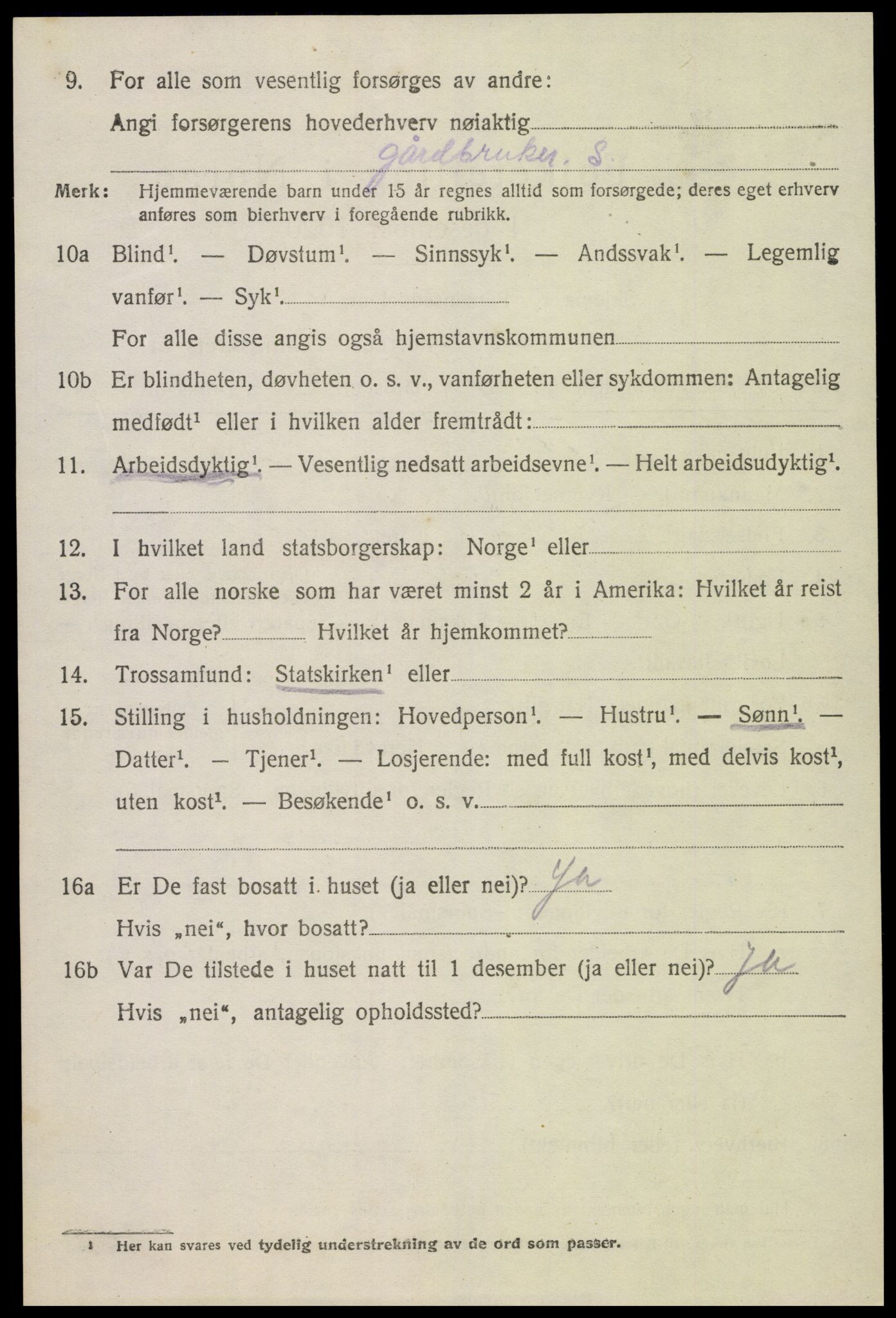 SAK, 1920 census for Hornnes, 1920, p. 2620
