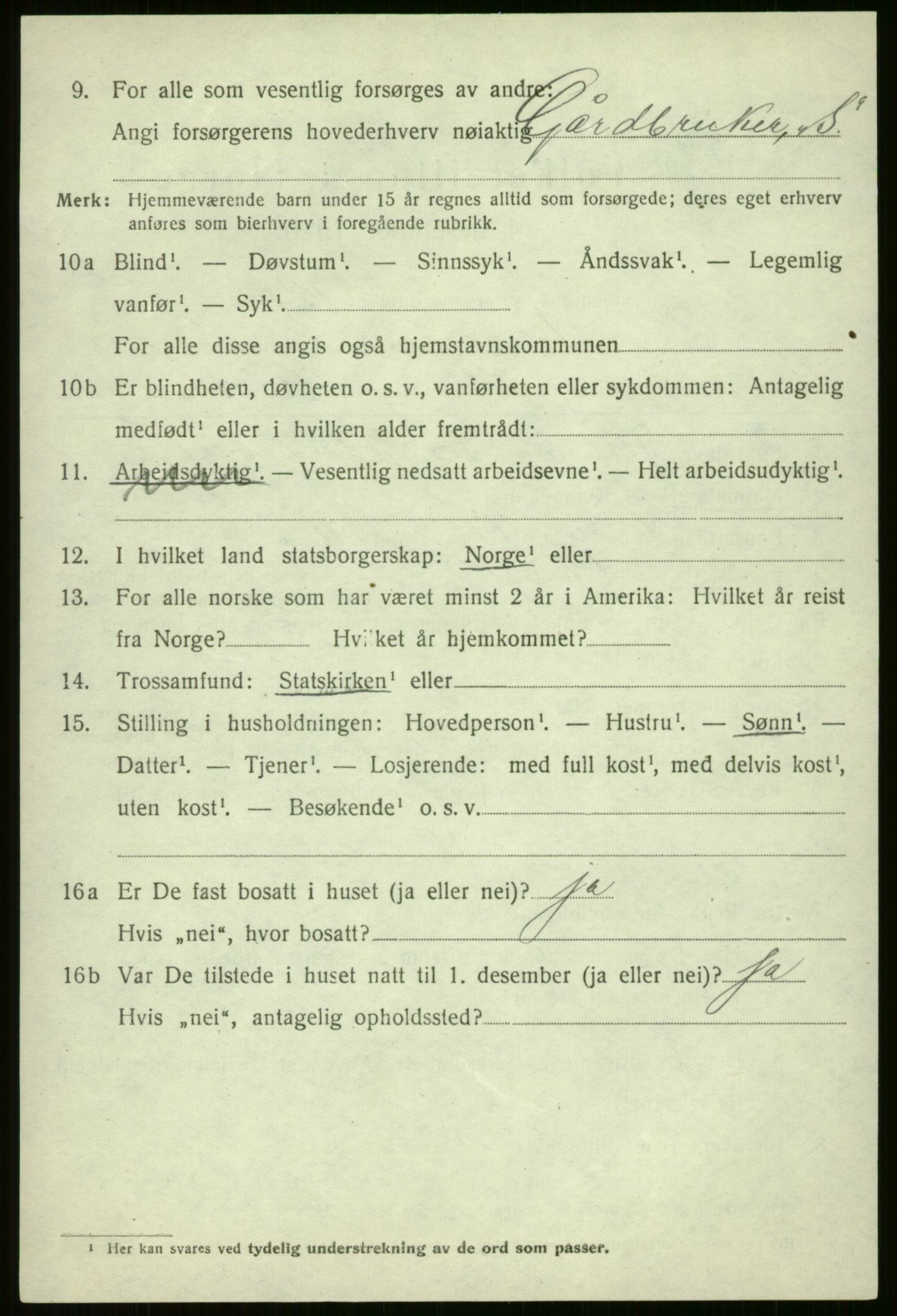 SAB, 1920 census for Voss, 1920, p. 11044