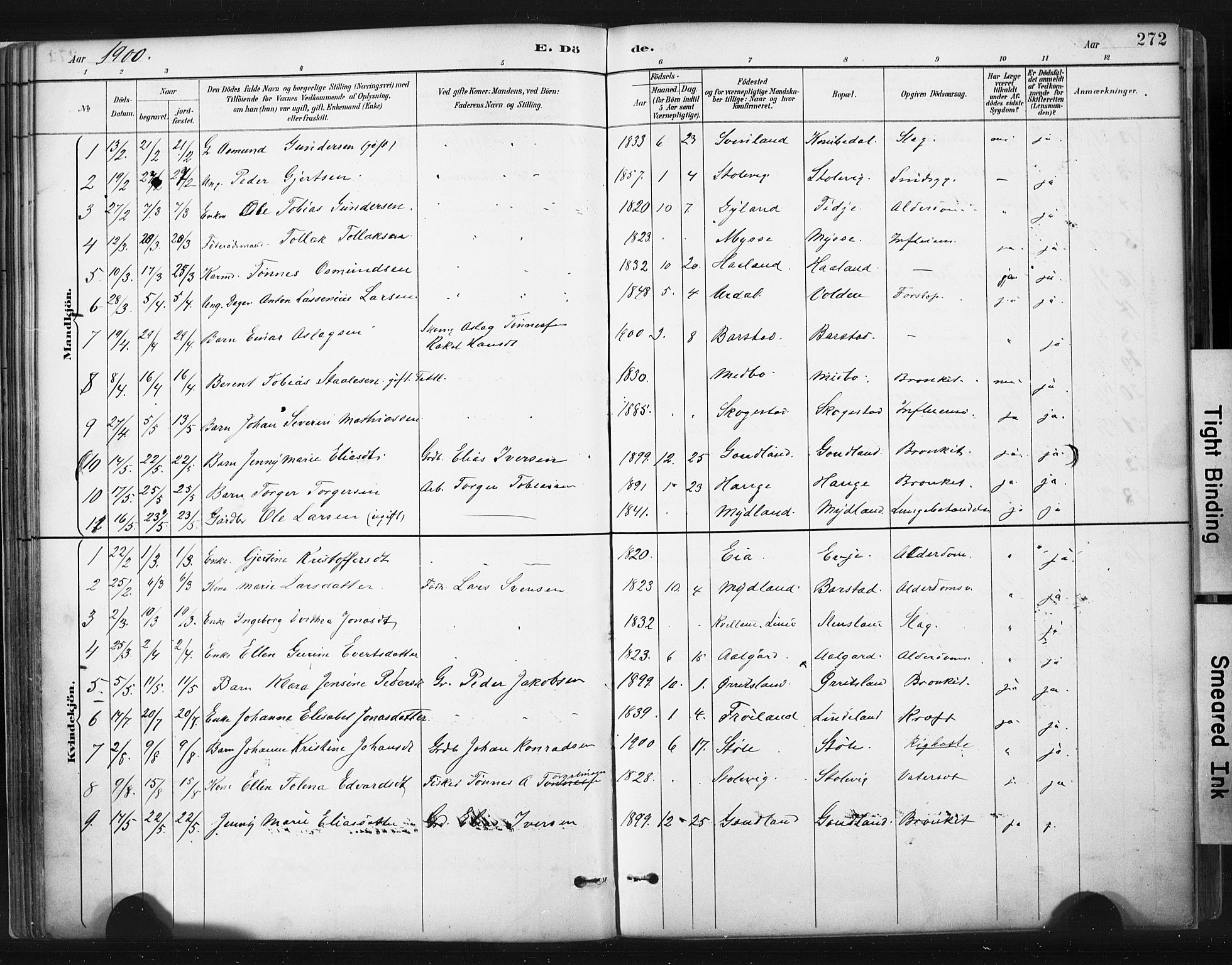 Sokndal sokneprestkontor, SAST/A-101808: Parish register (official) no. A 11.2, 1887-1905, p. 272