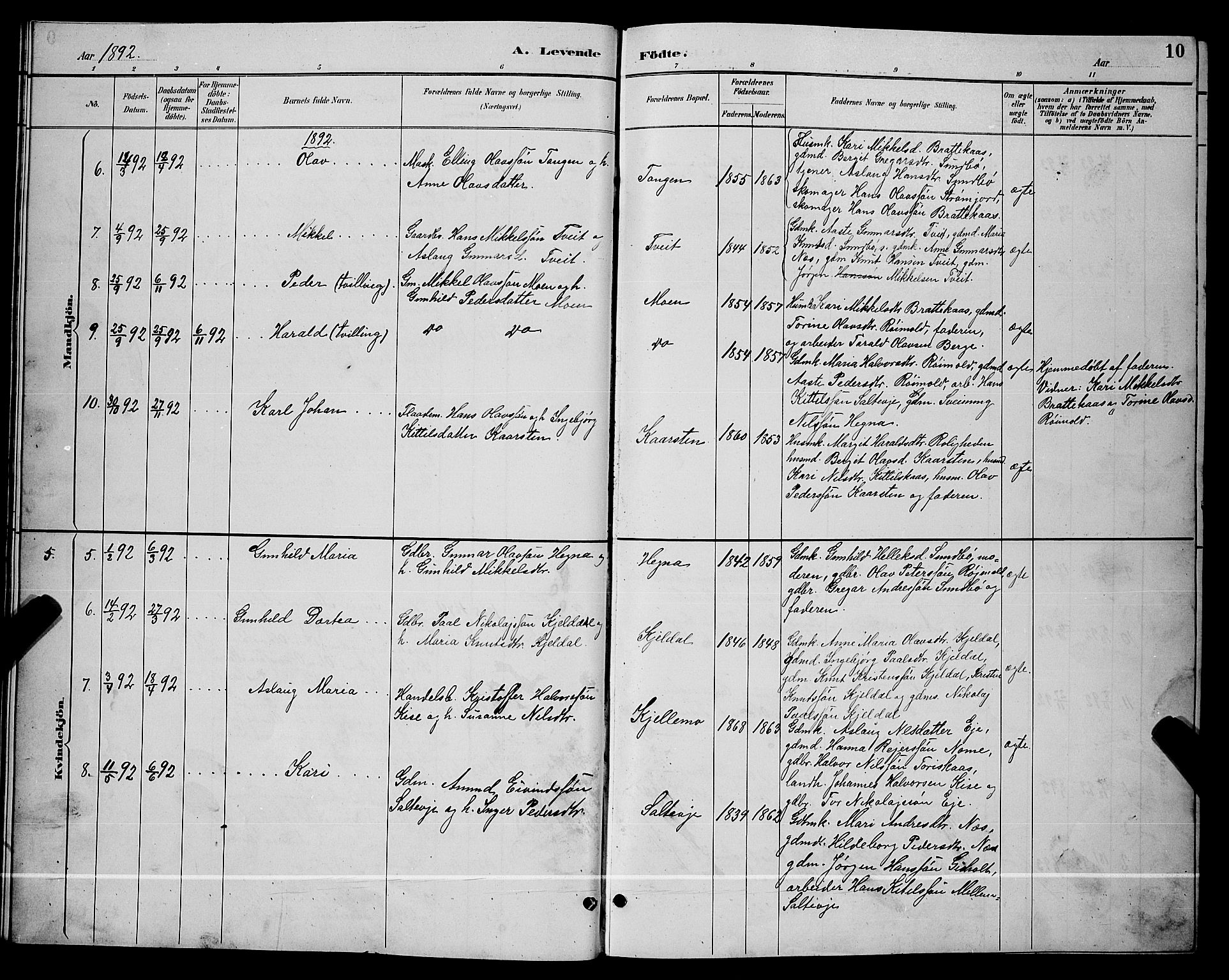 Lunde kirkebøker, SAKO/A-282/G/Gb/L0002: Parish register (copy) no. II 2, 1888-1895, p. 10