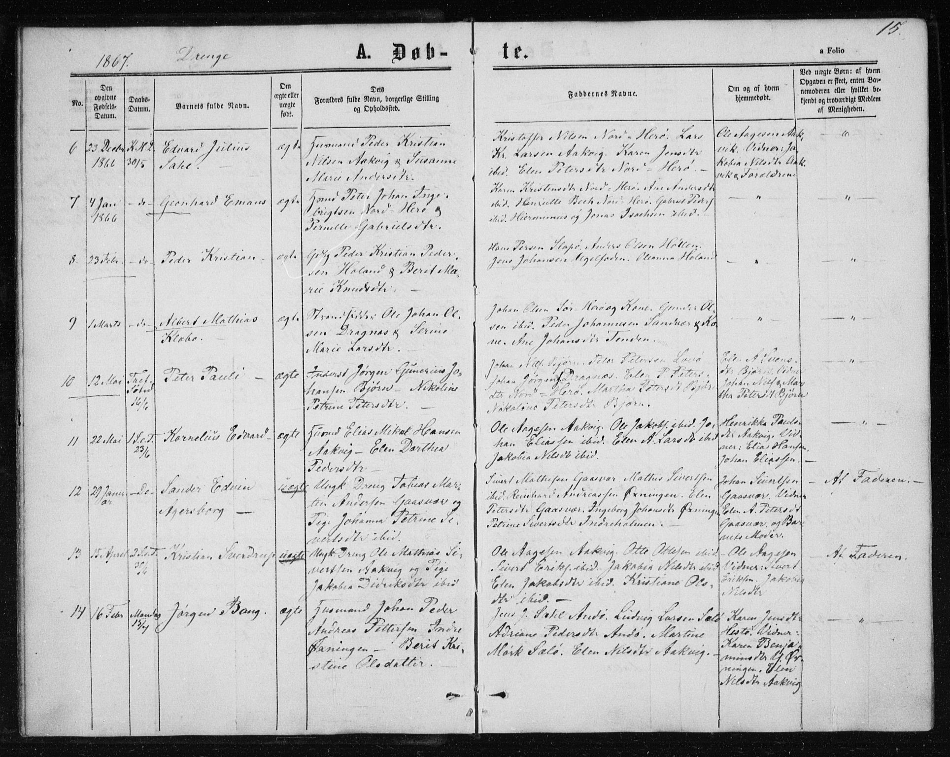 Ministerialprotokoller, klokkerbøker og fødselsregistre - Nordland, AV/SAT-A-1459/834/L0505: Parish register (official) no. 834A03, 1862-1871, p. 15