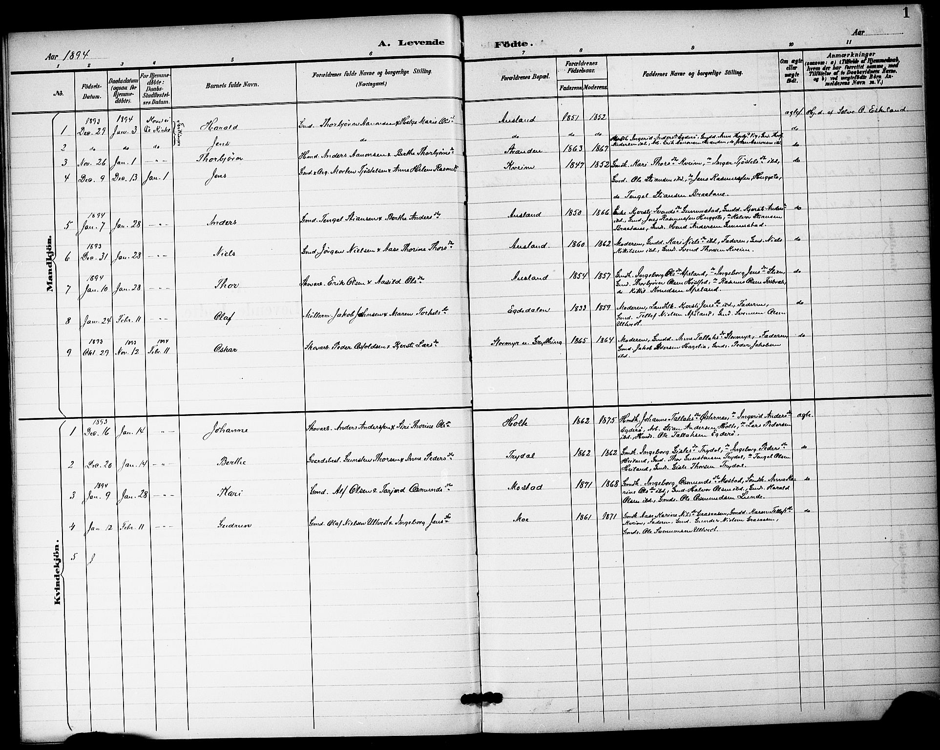 Gjerstad sokneprestkontor, AV/SAK-1111-0014/F/Fa/Fac/L0001: Parish register draft no. A VI 1, 1894-1898, p. 1