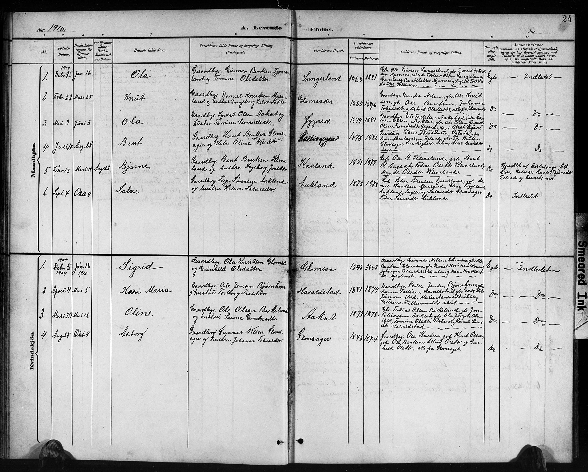 Holum sokneprestkontor, AV/SAK-1111-0022/F/Fb/Fbb/L0004: Parish register (copy) no. B 4, 1899-1920, p. 24