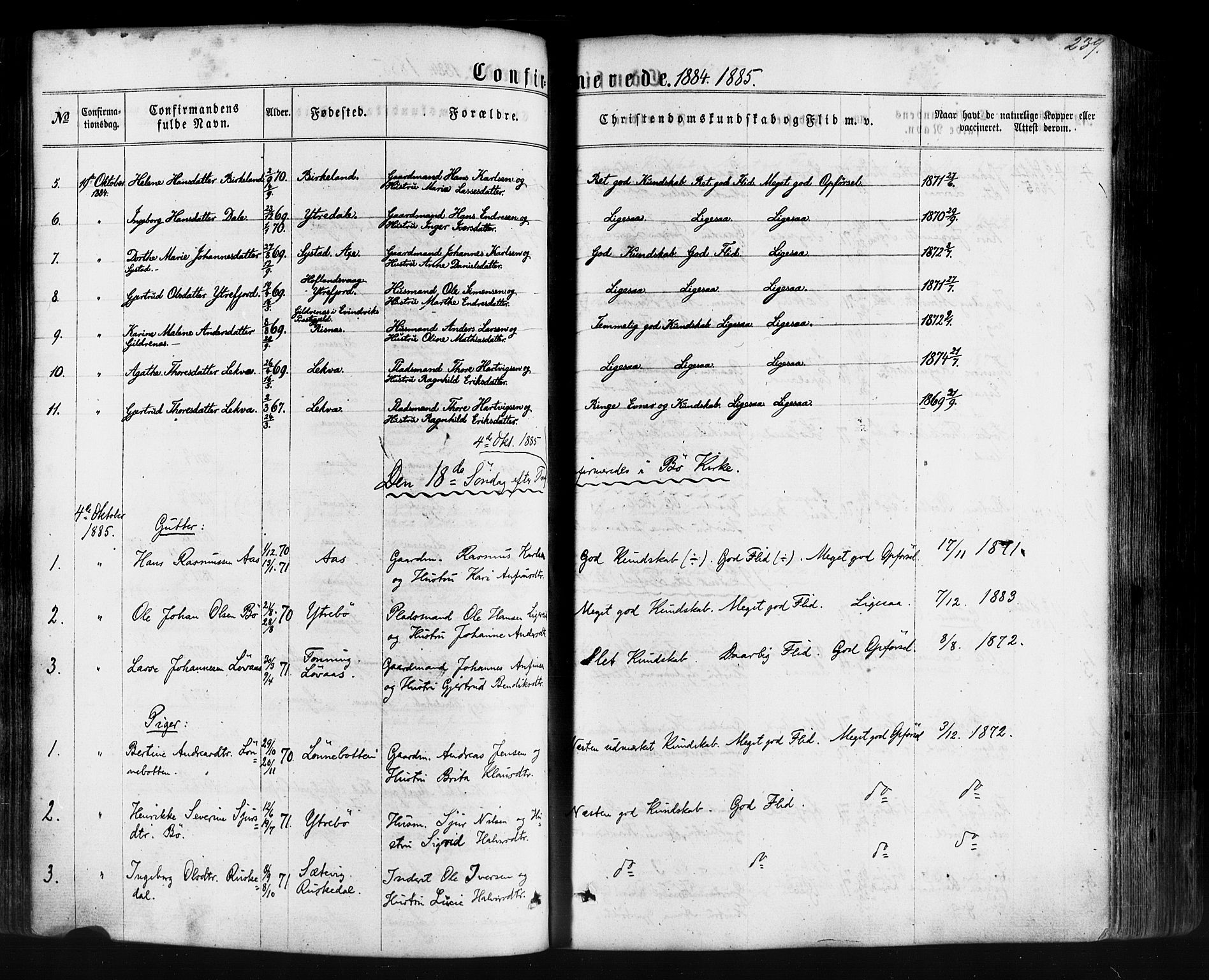 Hyllestad sokneprestembete, SAB/A-80401: Parish register (official) no. A 1, 1861-1886, p. 239