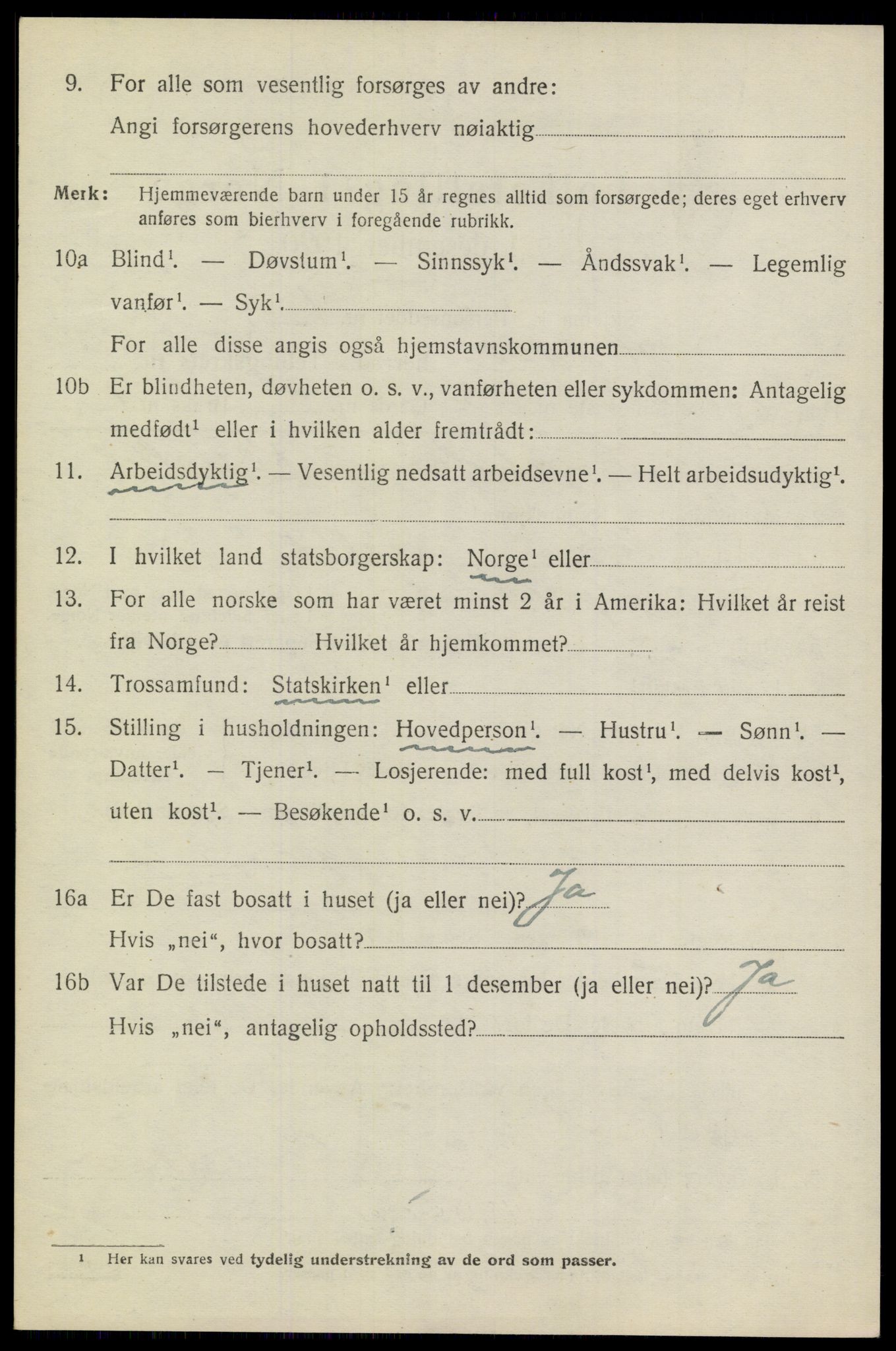 SAKO, 1920 census for Heddal, 1920, p. 4573