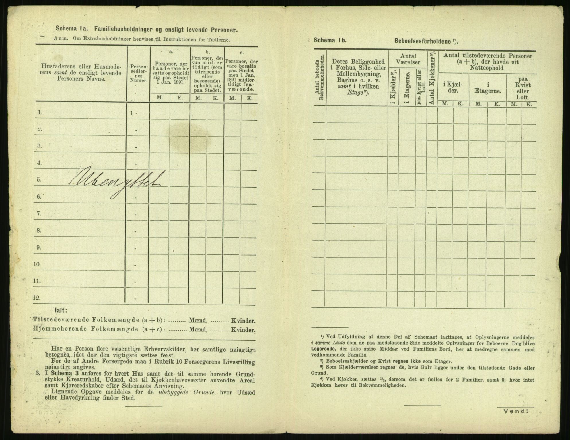 RA, 1891 census for 0301 Kristiania, 1891, p. 70881