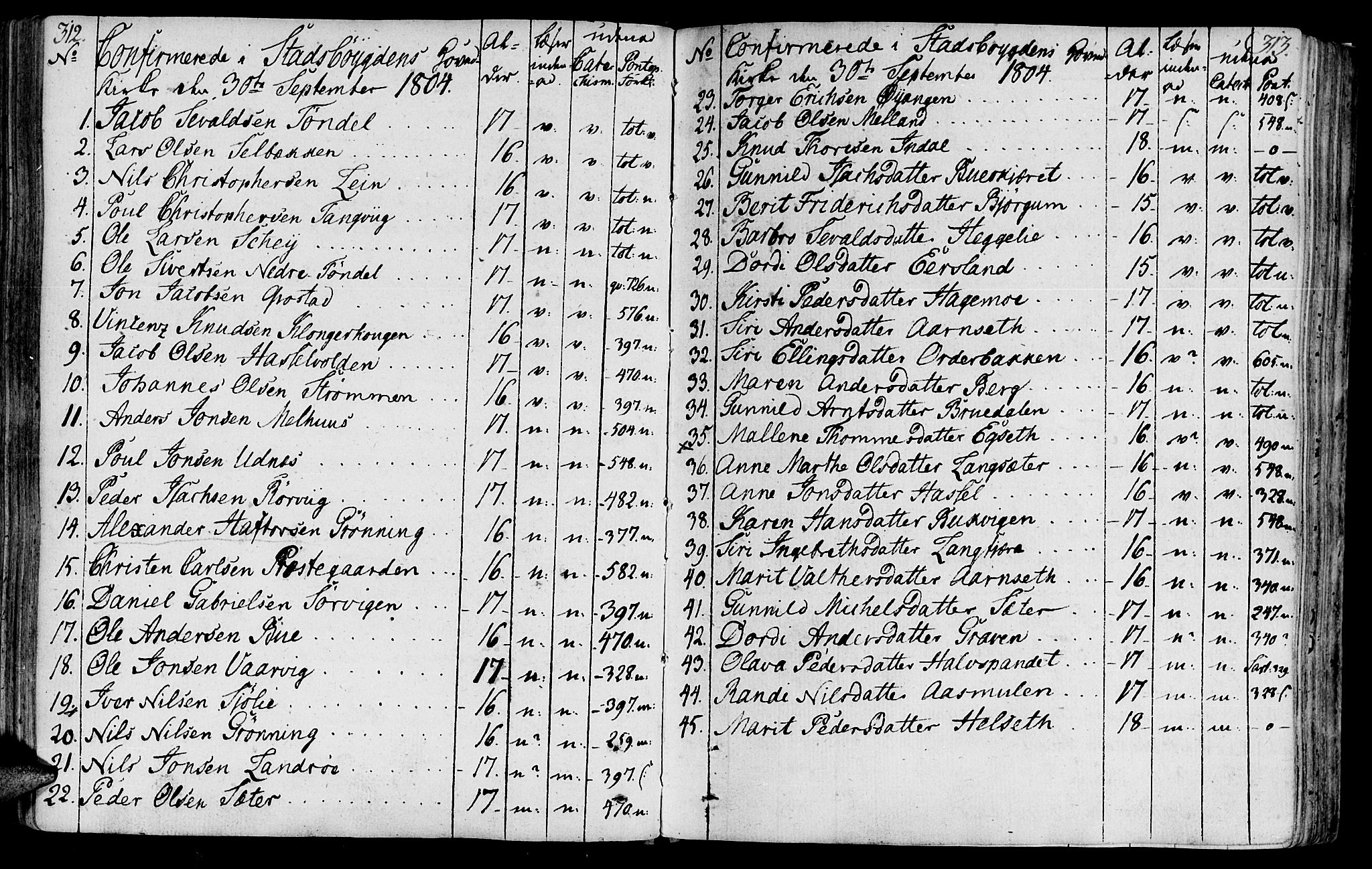 Ministerialprotokoller, klokkerbøker og fødselsregistre - Sør-Trøndelag, SAT/A-1456/646/L0606: Parish register (official) no. 646A04, 1791-1805, p. 312-313