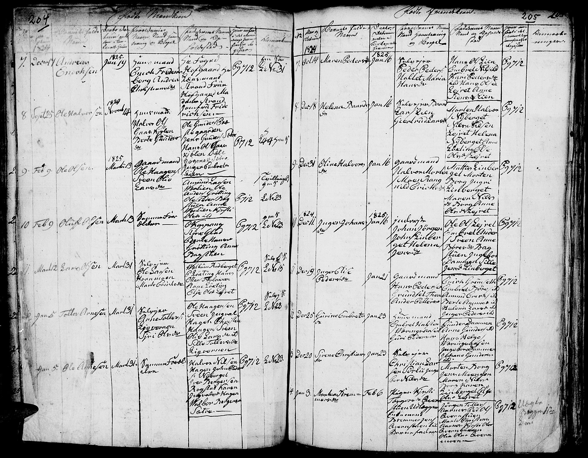 Elverum prestekontor, AV/SAH-PREST-044/H/Ha/Hab/L0001: Parish register (copy) no. 1, 1815-1829, p. 204-205