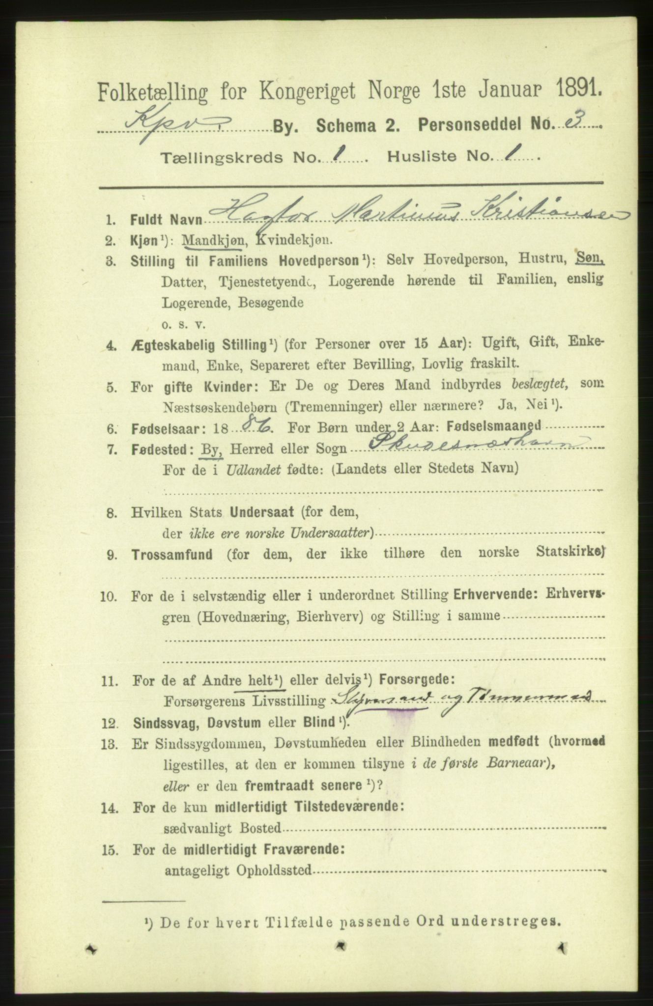 RA, 1891 census for 1105 Kopervik, 1891, p. 19