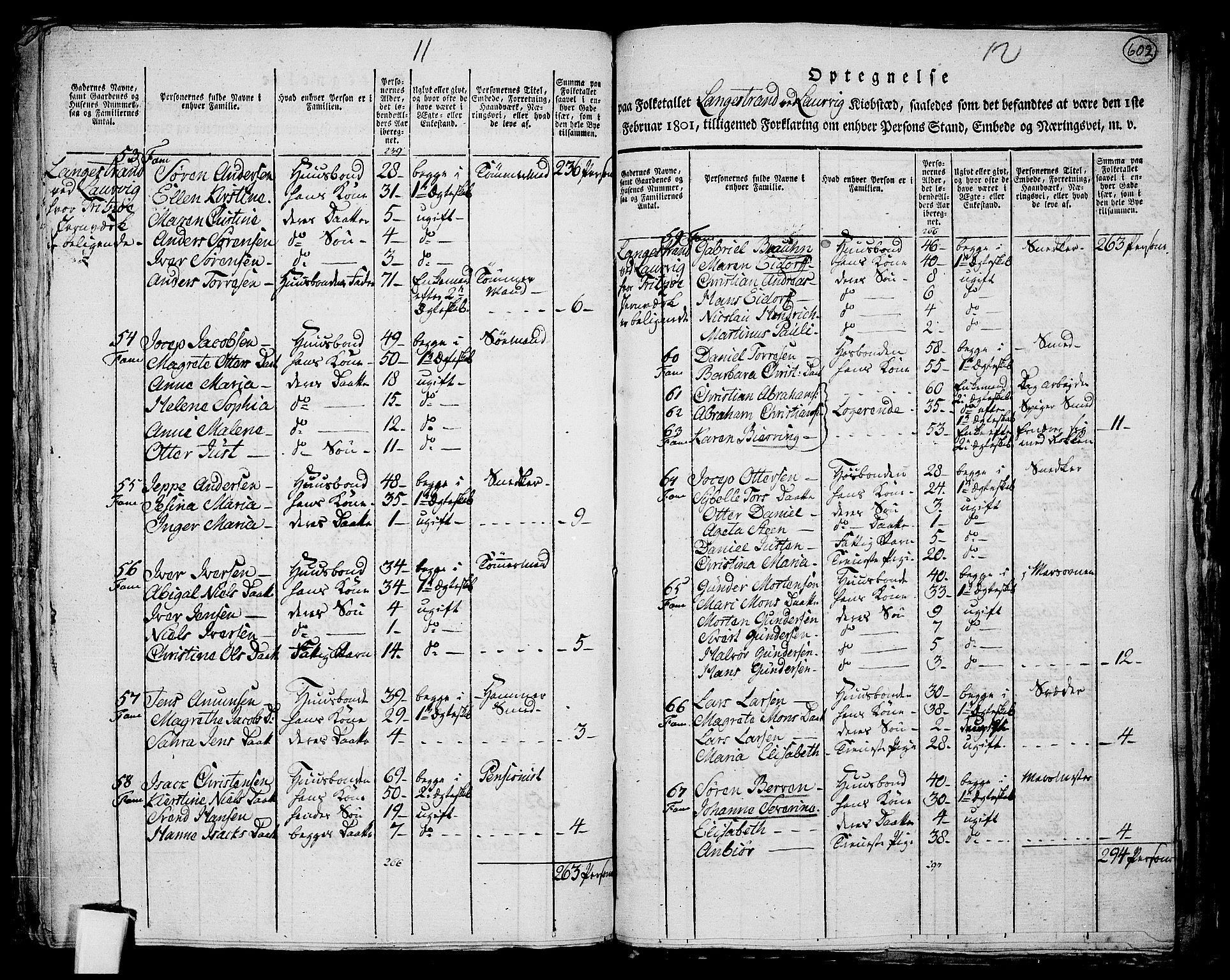 RA, 1801 census for 0707P Larvik, 1801, p. 601b-602a