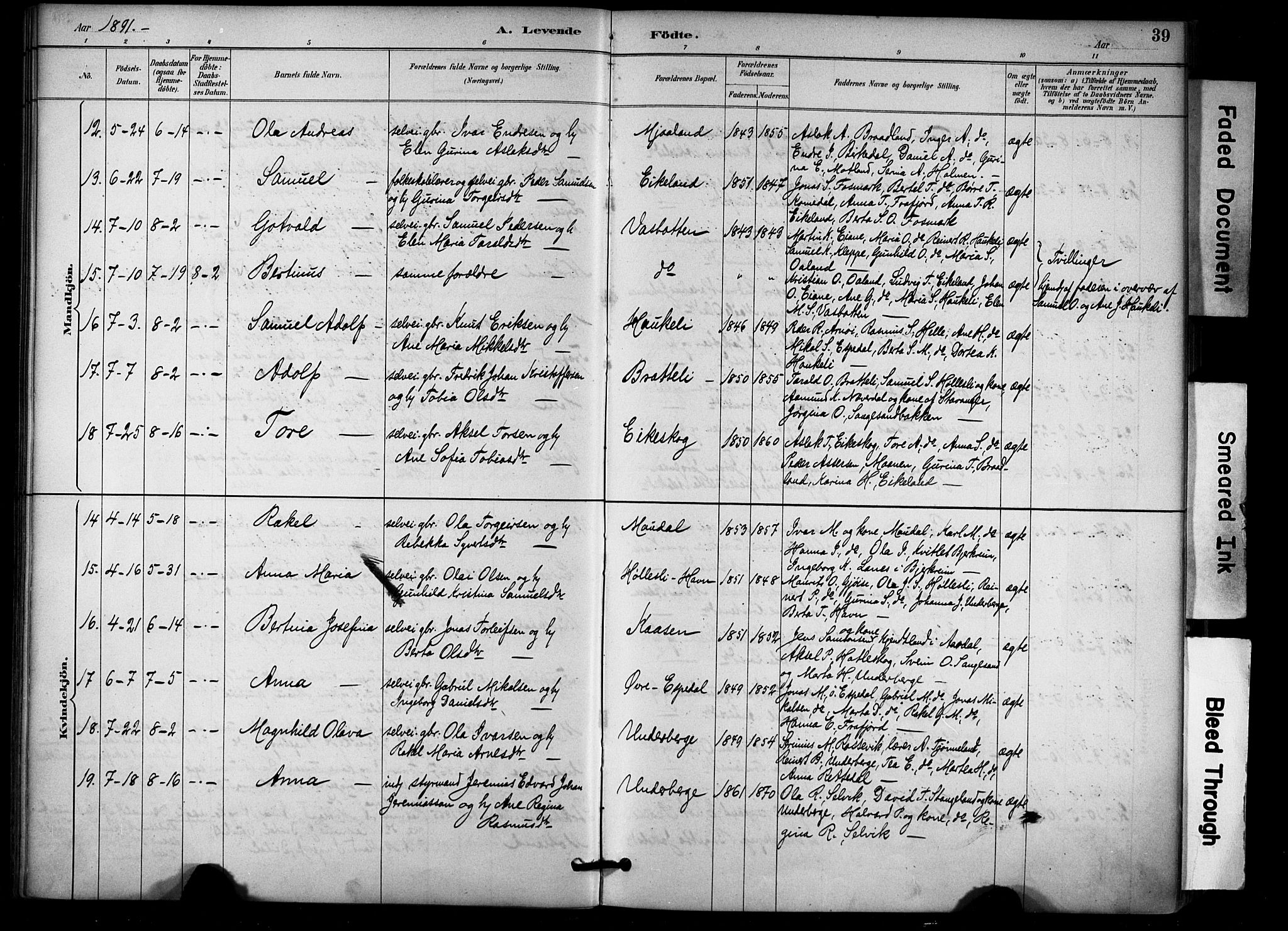 Høgsfjord sokneprestkontor, SAST/A-101624/H/Ha/Haa/L0006: Parish register (official) no. A 6, 1885-1897, p. 39