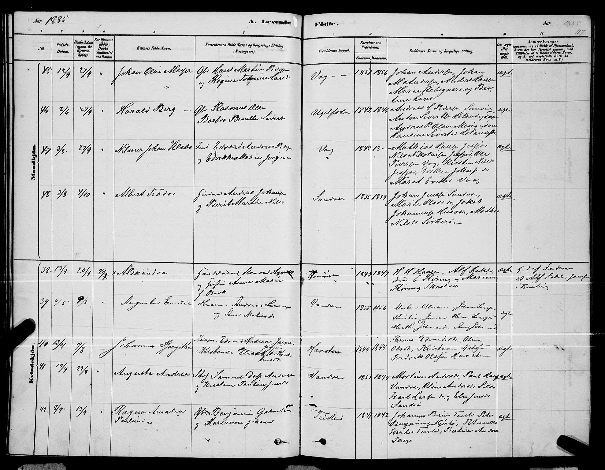 Ministerialprotokoller, klokkerbøker og fødselsregistre - Nordland, AV/SAT-A-1459/834/L0513: Parish register (copy) no. 834C04, 1877-1892, p. 117