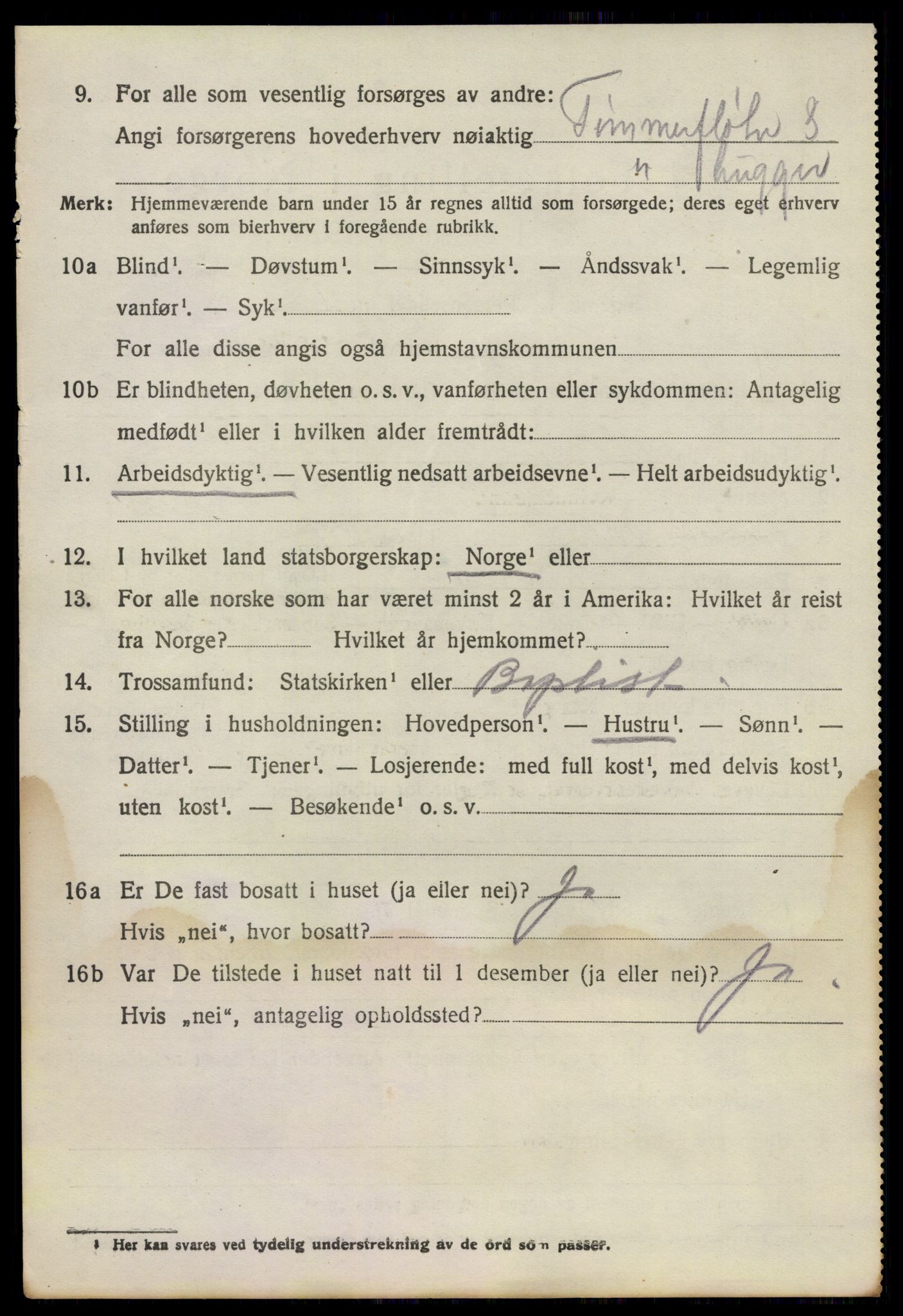 SAO, 1920 census for Fet, 1920, p. 10041