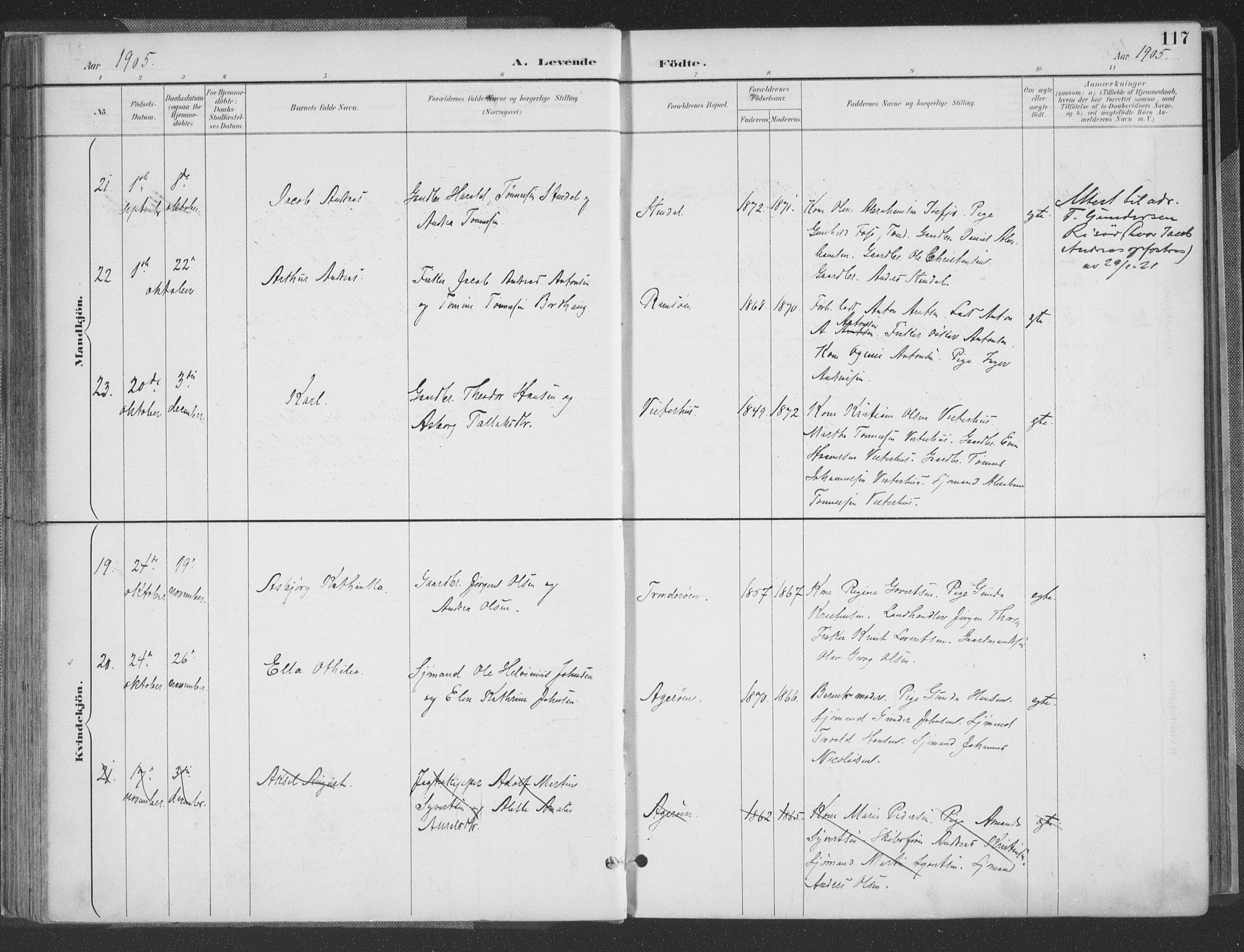 Høvåg sokneprestkontor, AV/SAK-1111-0025/F/Fa/L0006: Parish register (official) no. A 6, 1894-1923, p. 117