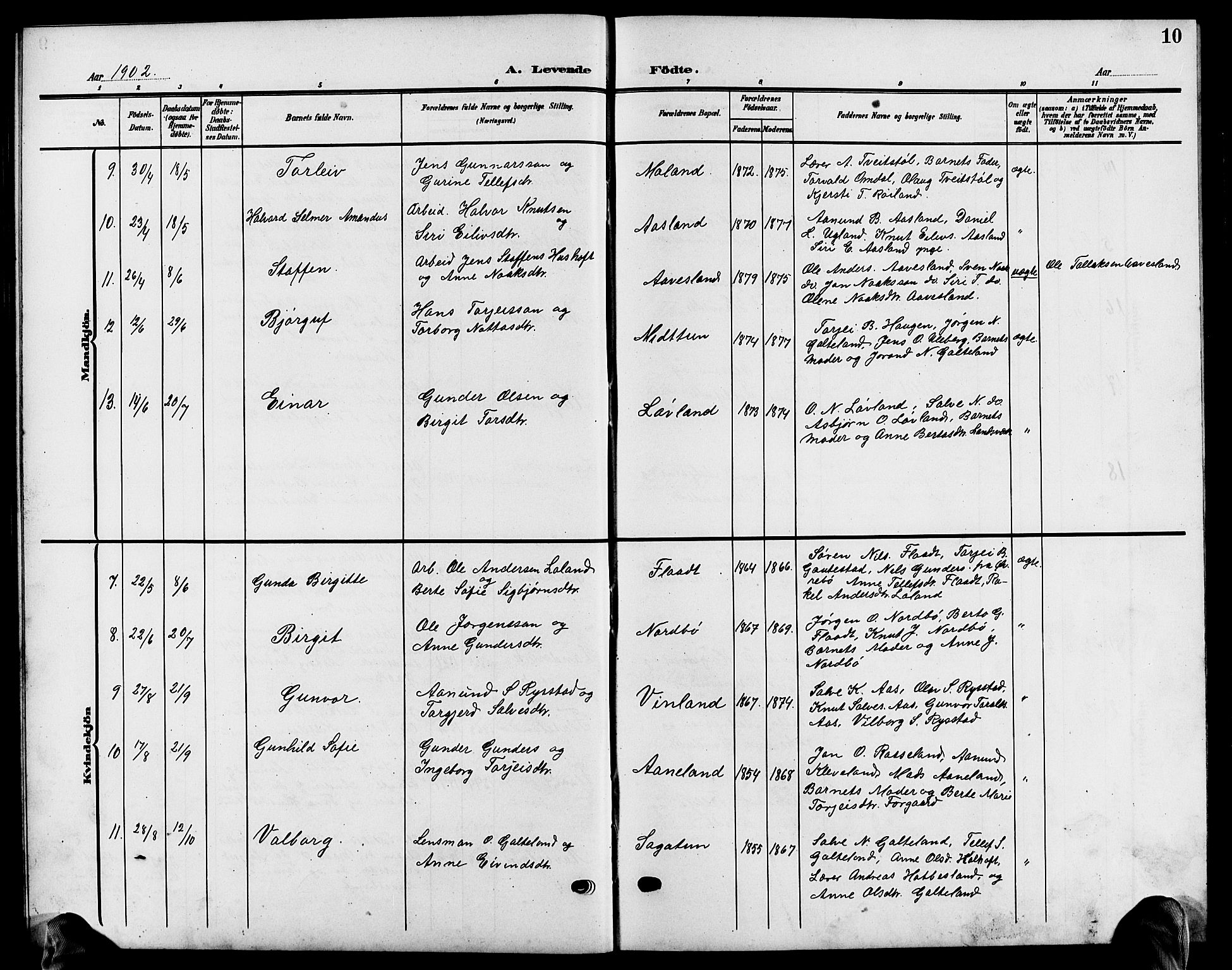 Evje sokneprestkontor, AV/SAK-1111-0008/F/Fb/Fba/L0004: Parish register (copy) no. B 4, 1899-1914, p. 10