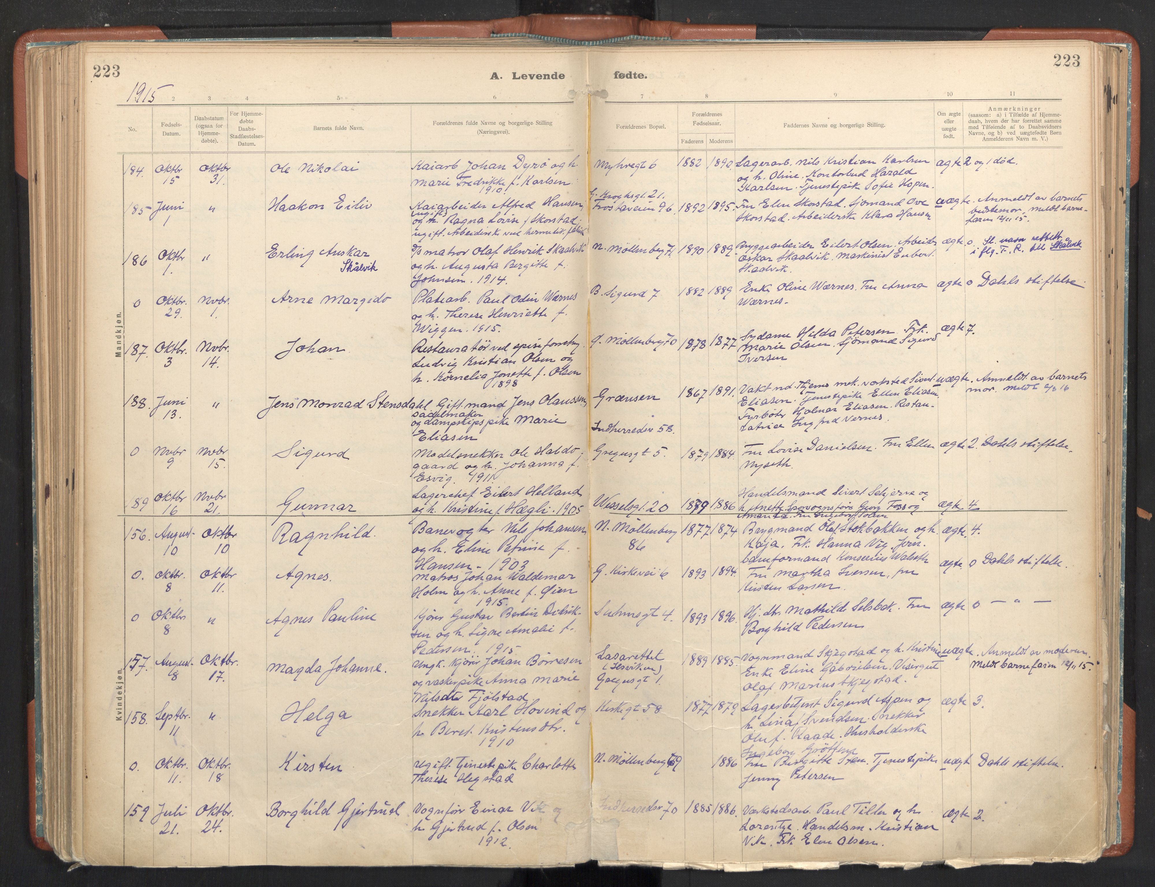 Ministerialprotokoller, klokkerbøker og fødselsregistre - Sør-Trøndelag, SAT/A-1456/605/L0243: Parish register (official) no. 605A05, 1908-1923, p. 223