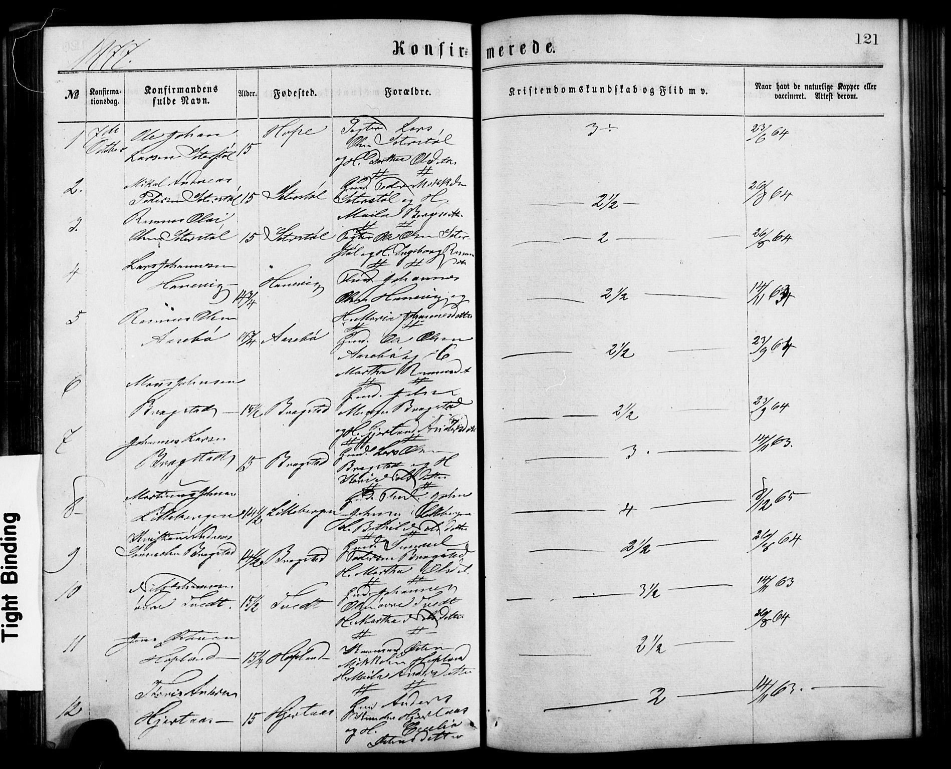 Alversund Sokneprestembete, SAB/A-73901/H/Ha/Hab: Parish register (copy) no. C 2, 1867-1880, p. 121