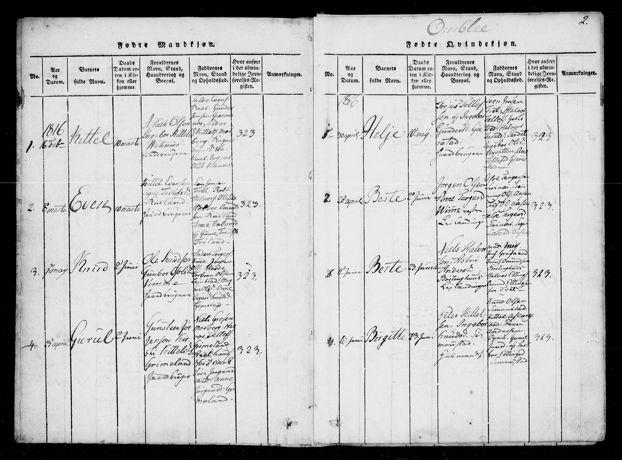 Åmli sokneprestkontor, AV/SAK-1111-0050/F/Fa/Fac/L0006: Parish register (official) no. A 6, 1816-1829, p. 2