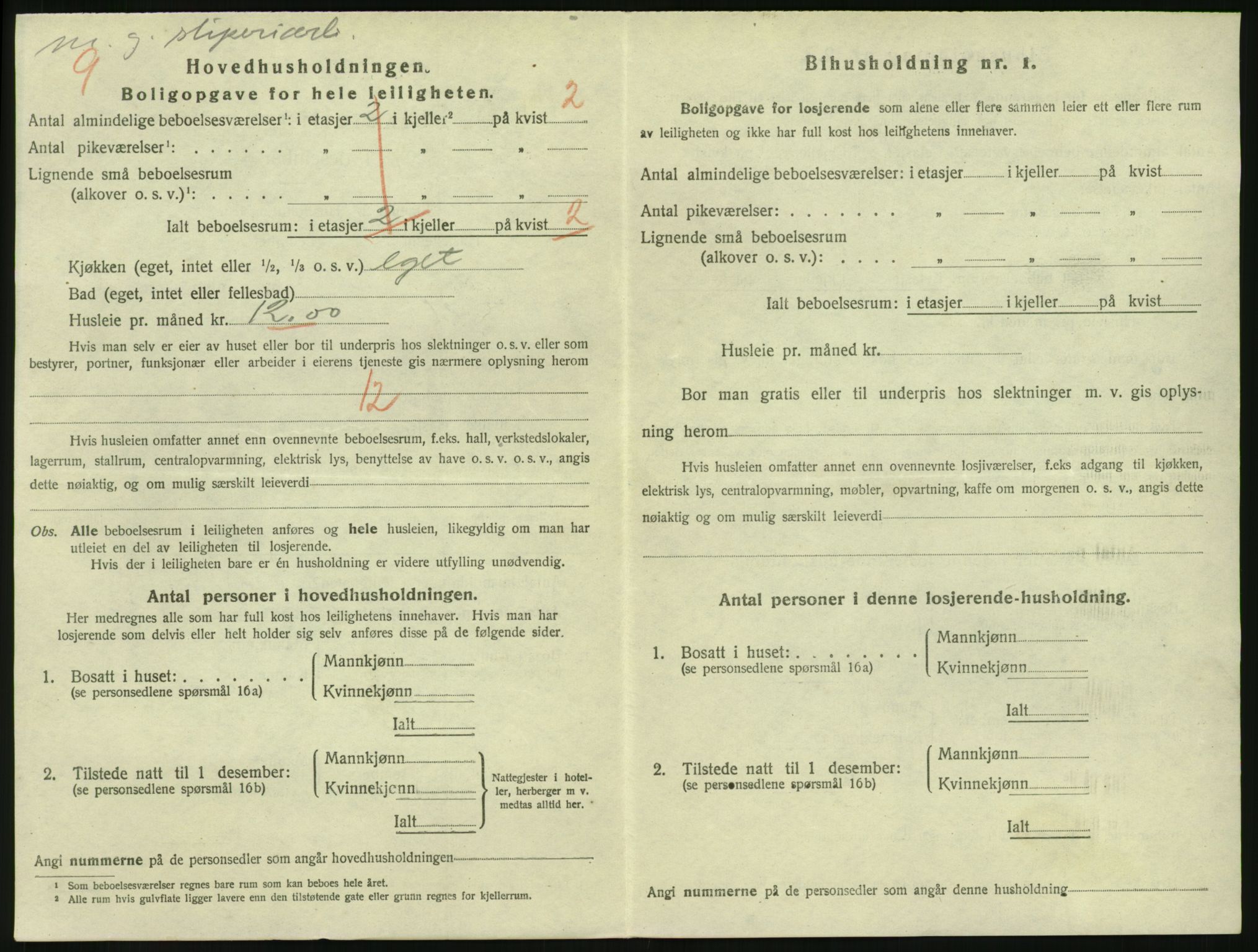 SAKO, 1920 census for Larvik, 1920, p. 3101