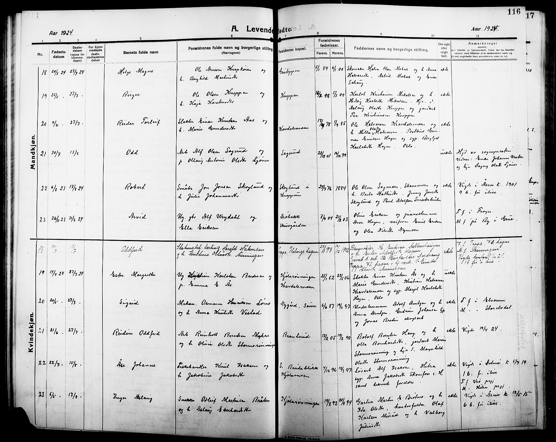 Åsnes prestekontor, AV/SAH-PREST-042/H/Ha/Hab/L0007: Parish register (copy) no. 7, 1909-1926, p. 116