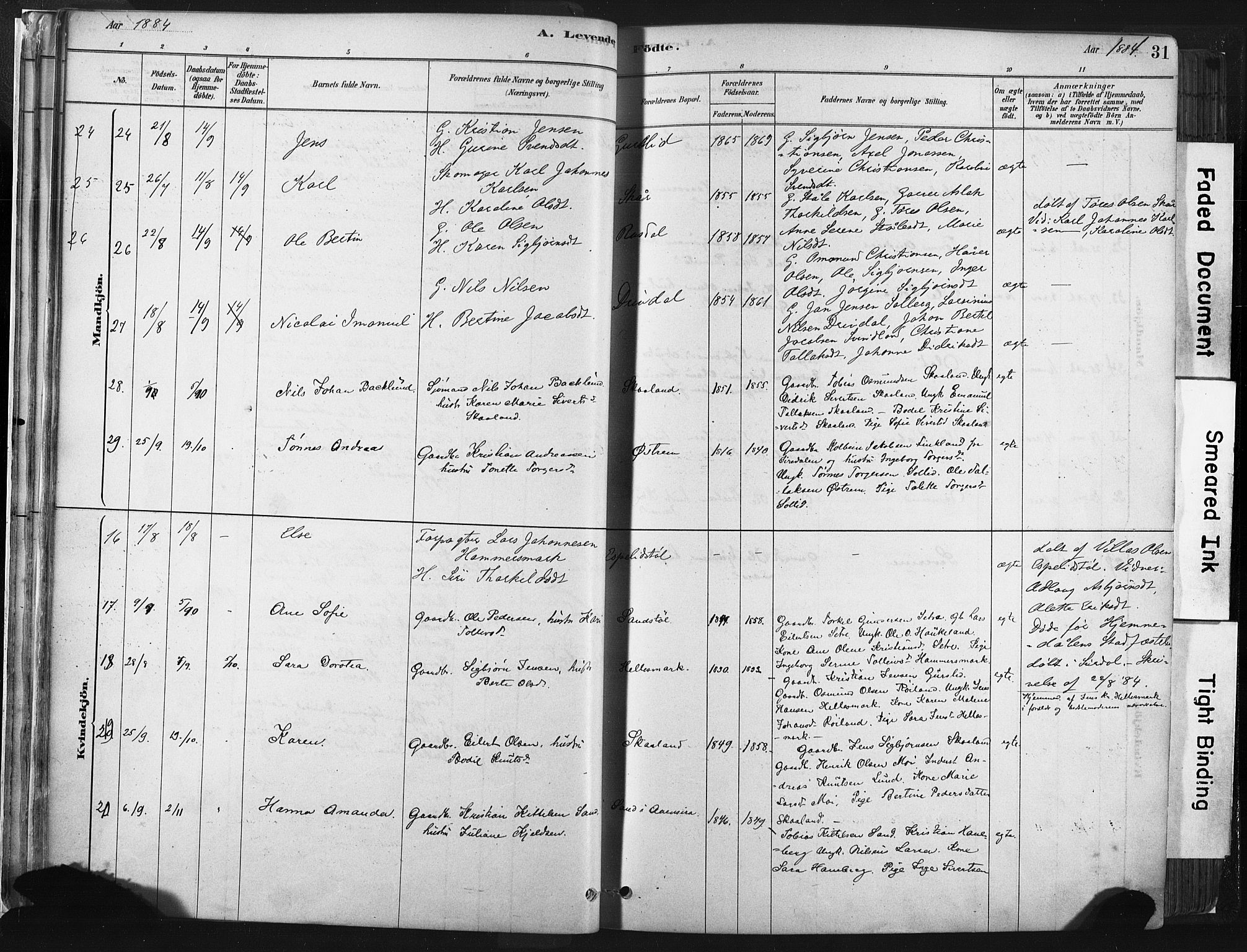 Lund sokneprestkontor, AV/SAST-A-101809/S06/L0011: Parish register (official) no. A 10, 1877-1904, p. 31