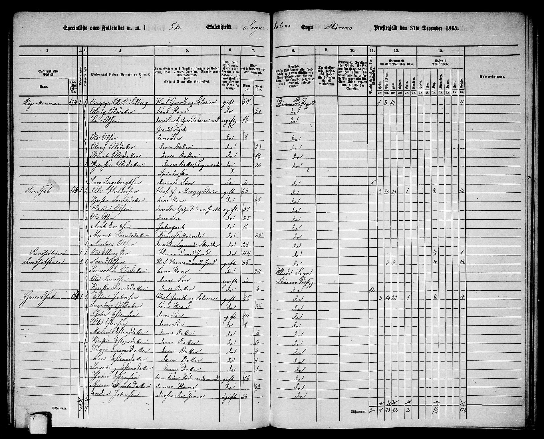 RA, 1865 census for Støren, 1865, p. 295