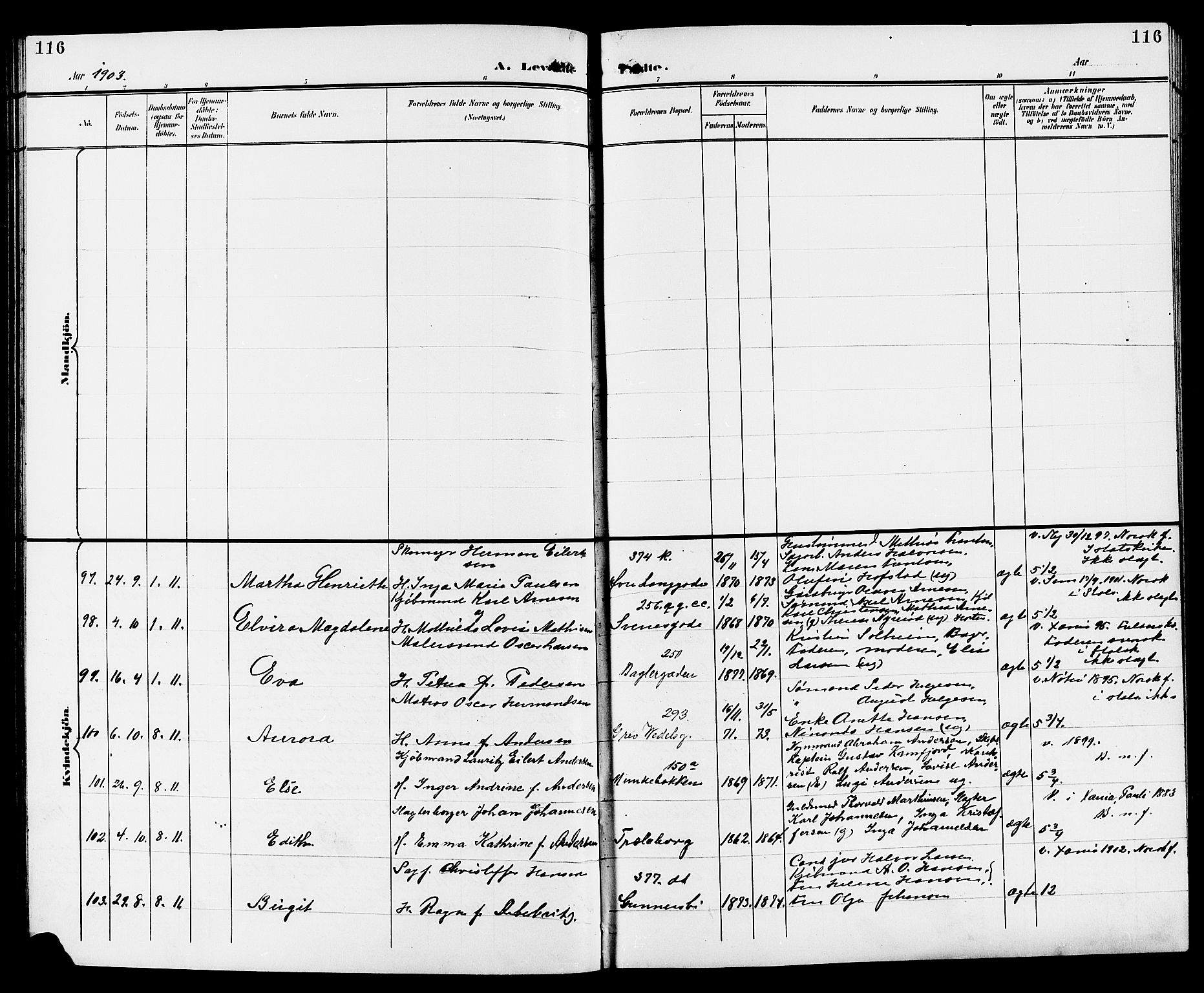 Tønsberg kirkebøker, AV/SAKO-A-330/G/Ga/L0007: Parish register (copy) no. 7, 1896-1904, p. 116