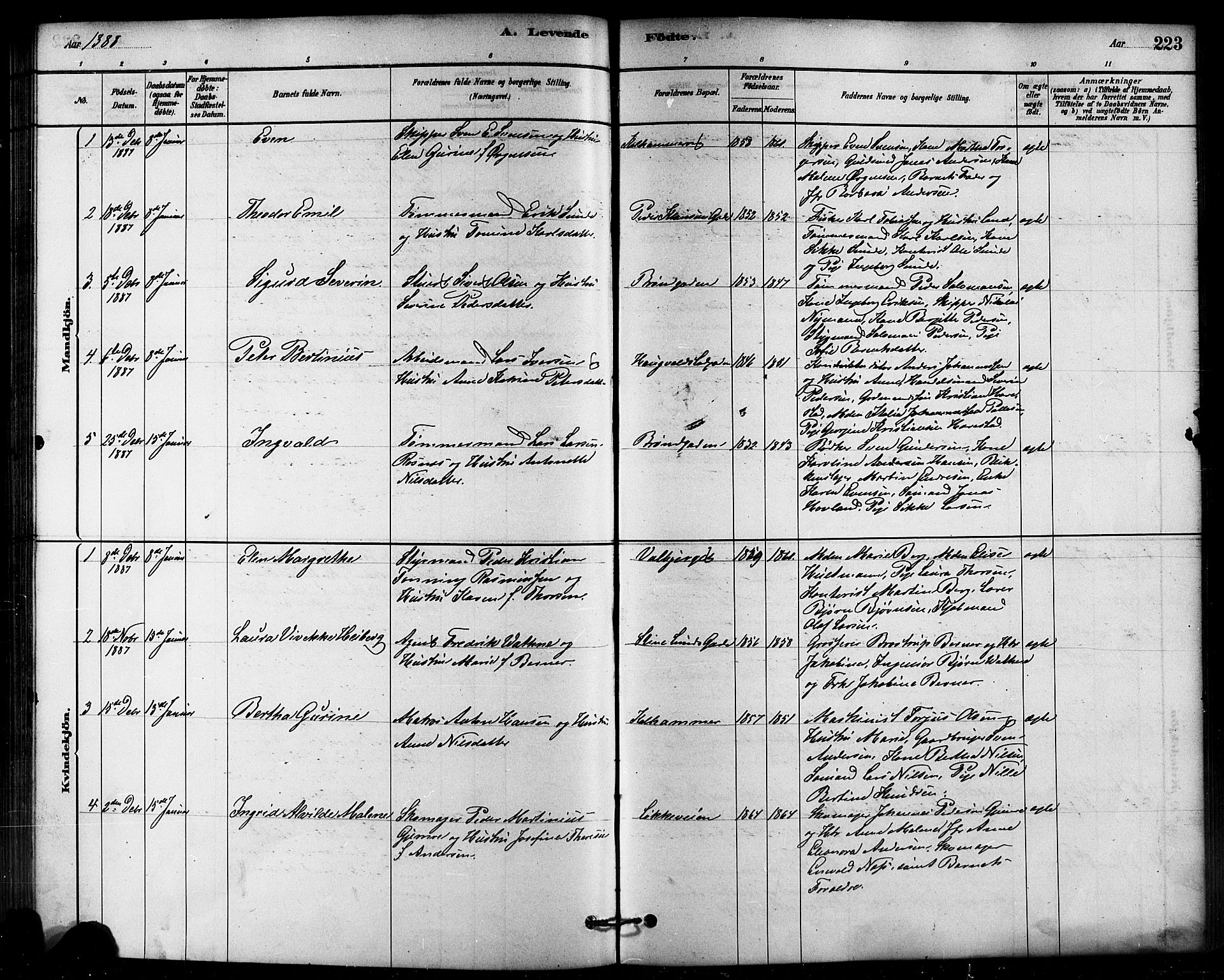 Domkirken sokneprestkontor, AV/SAST-A-101812/001/30/30BB/L0015: Parish register (copy) no. B 15, 1880-1891, p. 223