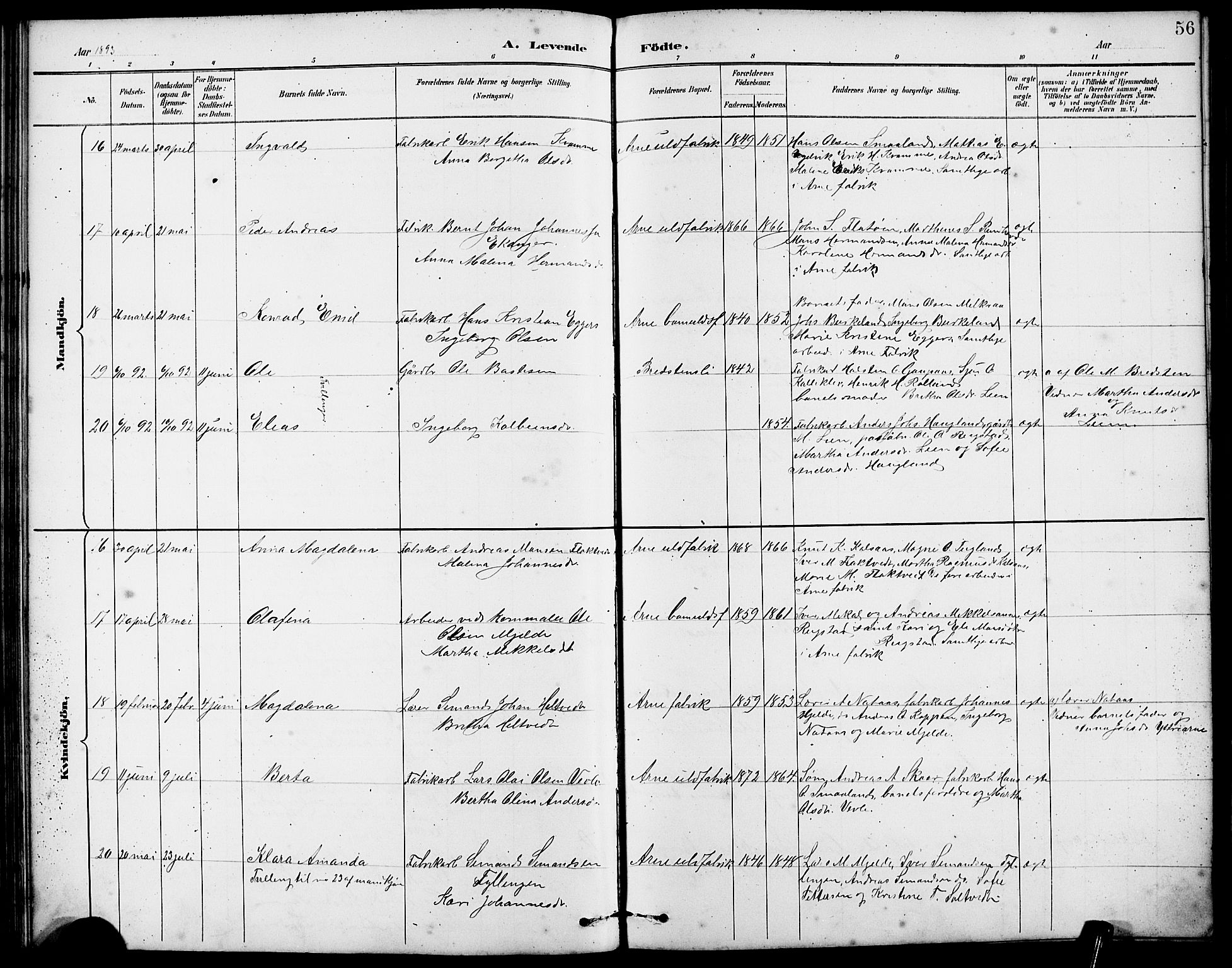 Arna sokneprestembete, AV/SAB-A-74001/H/Ha/Hab: Parish register (copy) no. A 3, 1887-1897, p. 56