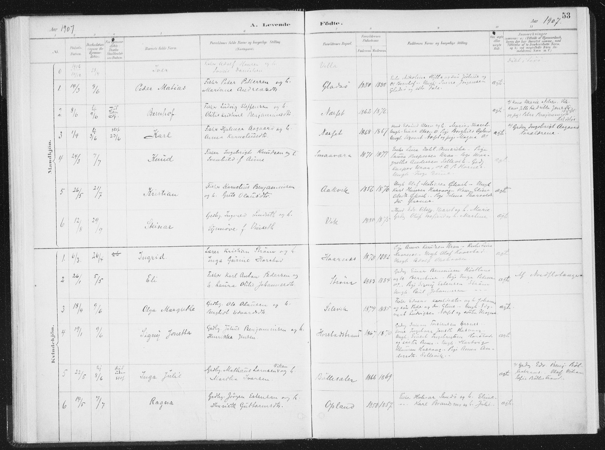 Ministerialprotokoller, klokkerbøker og fødselsregistre - Nord-Trøndelag, SAT/A-1458/771/L0597: Parish register (official) no. 771A04, 1885-1910, p. 53