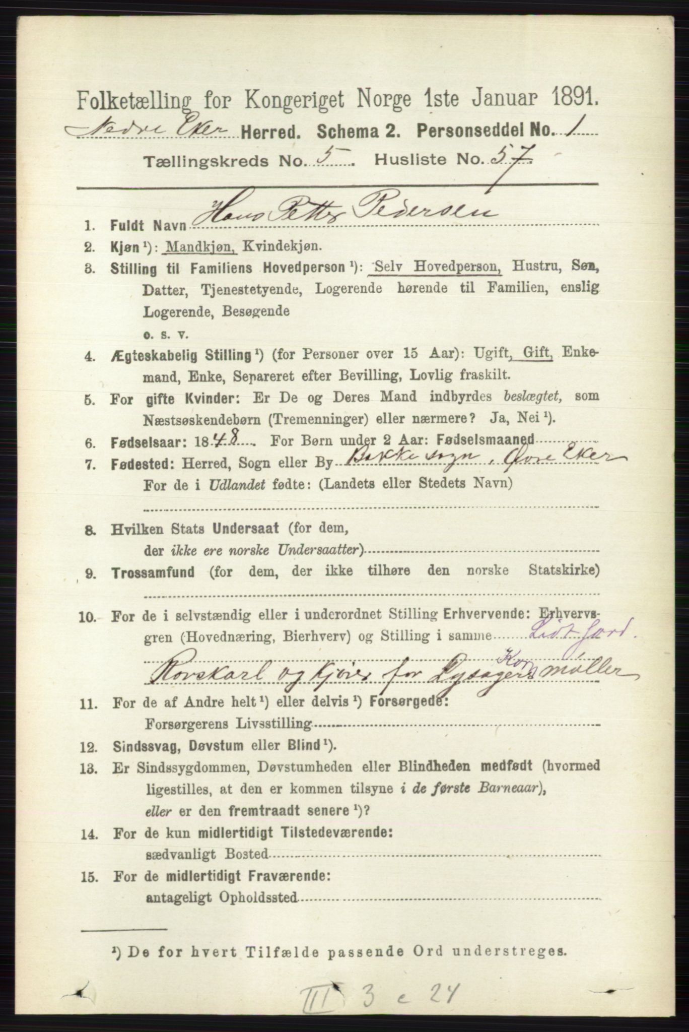 RA, 1891 census for 0625 Nedre Eiker, 1891, p. 2672