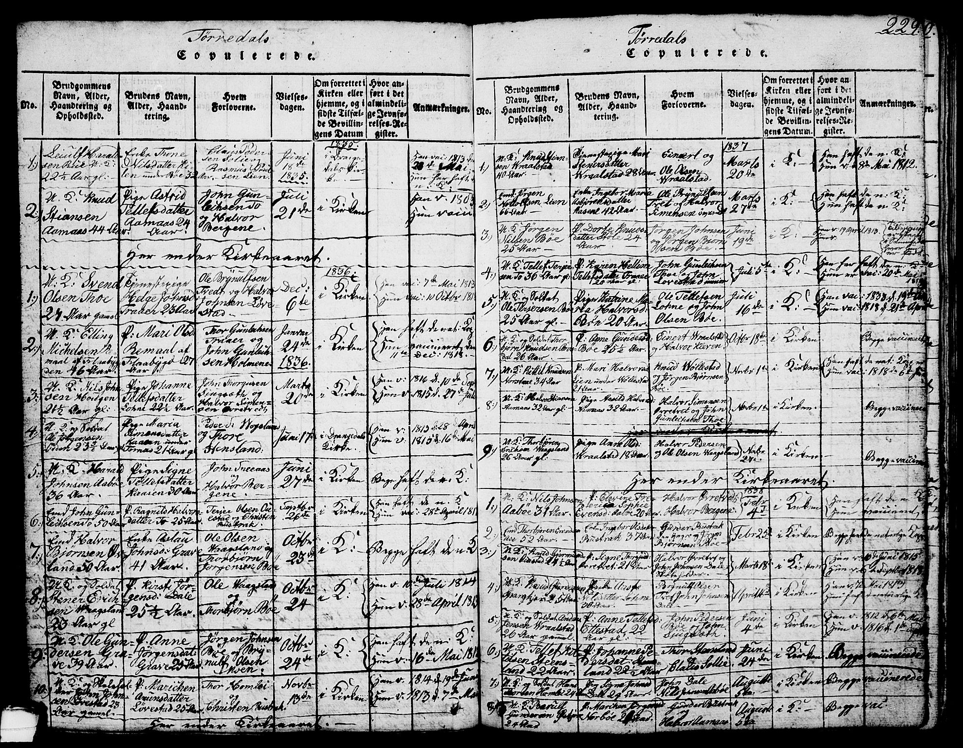 Drangedal kirkebøker, AV/SAKO-A-258/G/Ga/L0001: Parish register (copy) no. I 1 /2, 1814-1856, p. 229