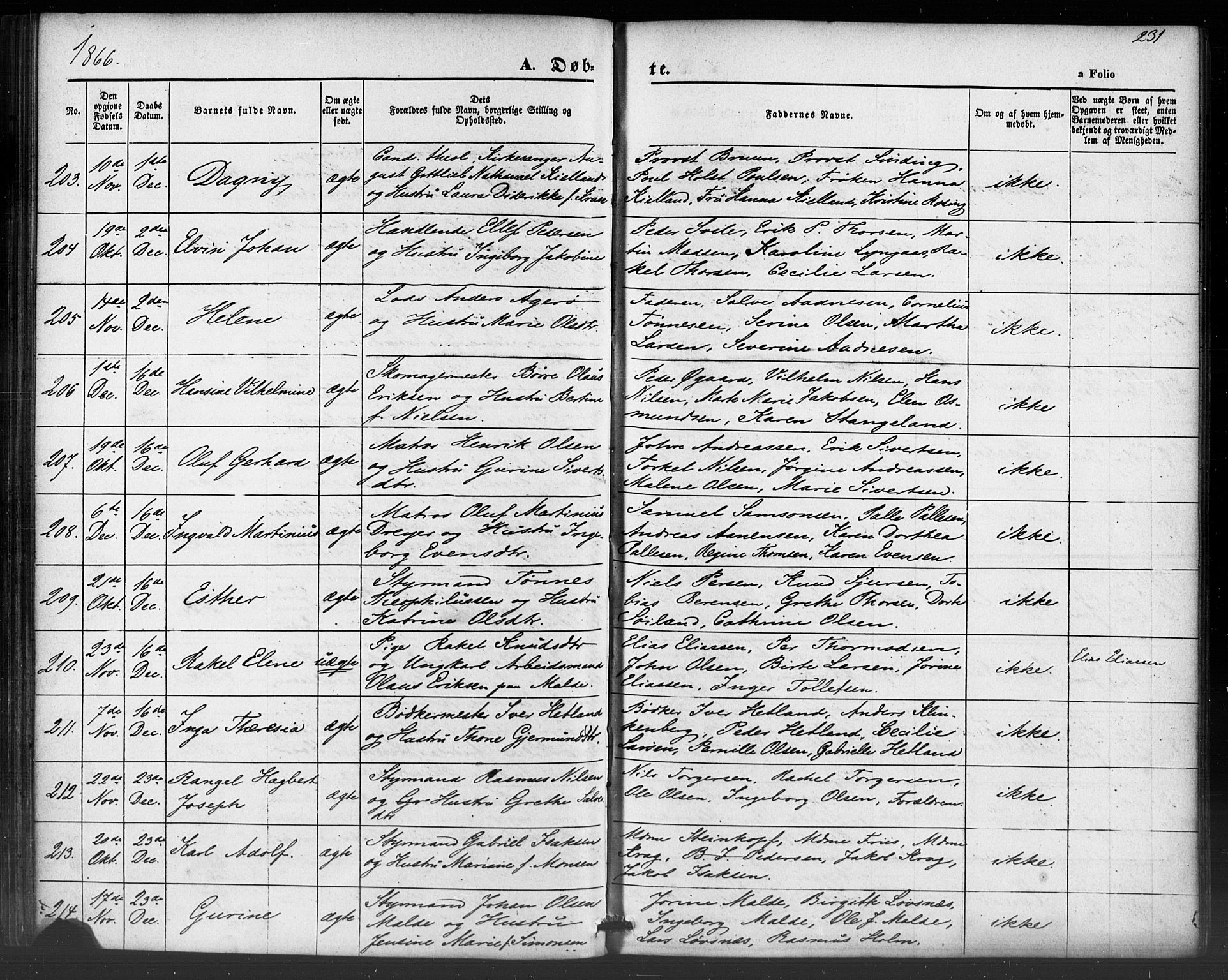 Domkirken sokneprestkontor, SAST/A-101812/001/30/30BB/L0012: Parish register (copy) no. B 12, 1860-1871, p. 231