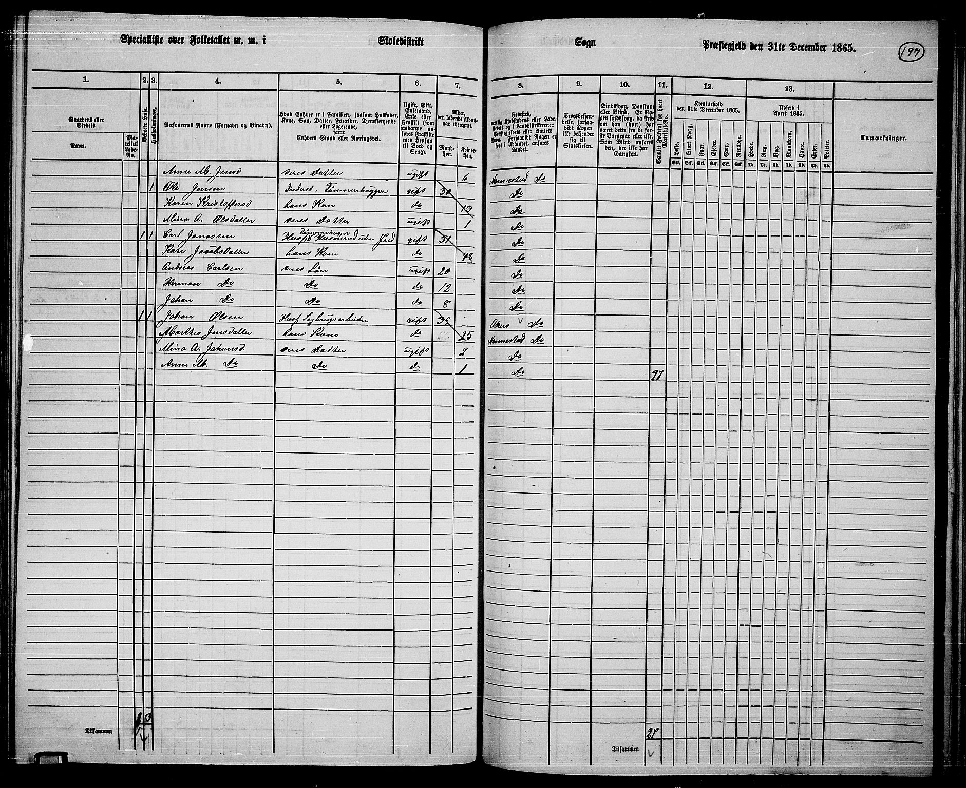 RA, 1865 census for Nannestad, 1865, p. 80