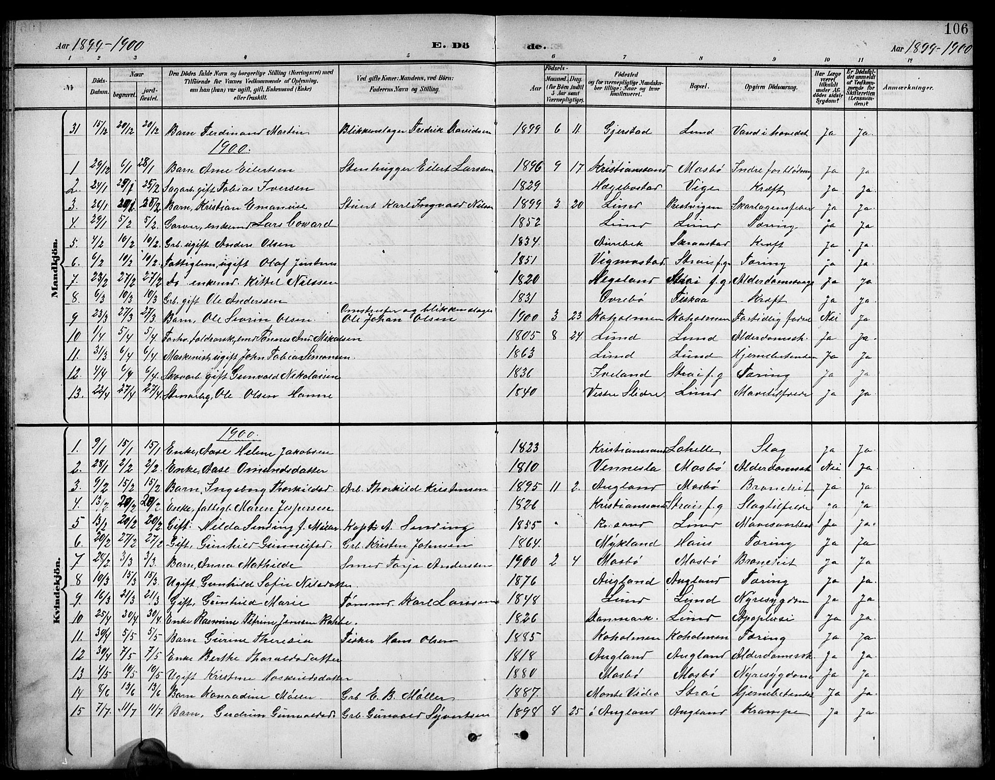 Oddernes sokneprestkontor, AV/SAK-1111-0033/F/Fb/Fba/L0009: Parish register (copy) no. B 9, 1899-1923, p. 106