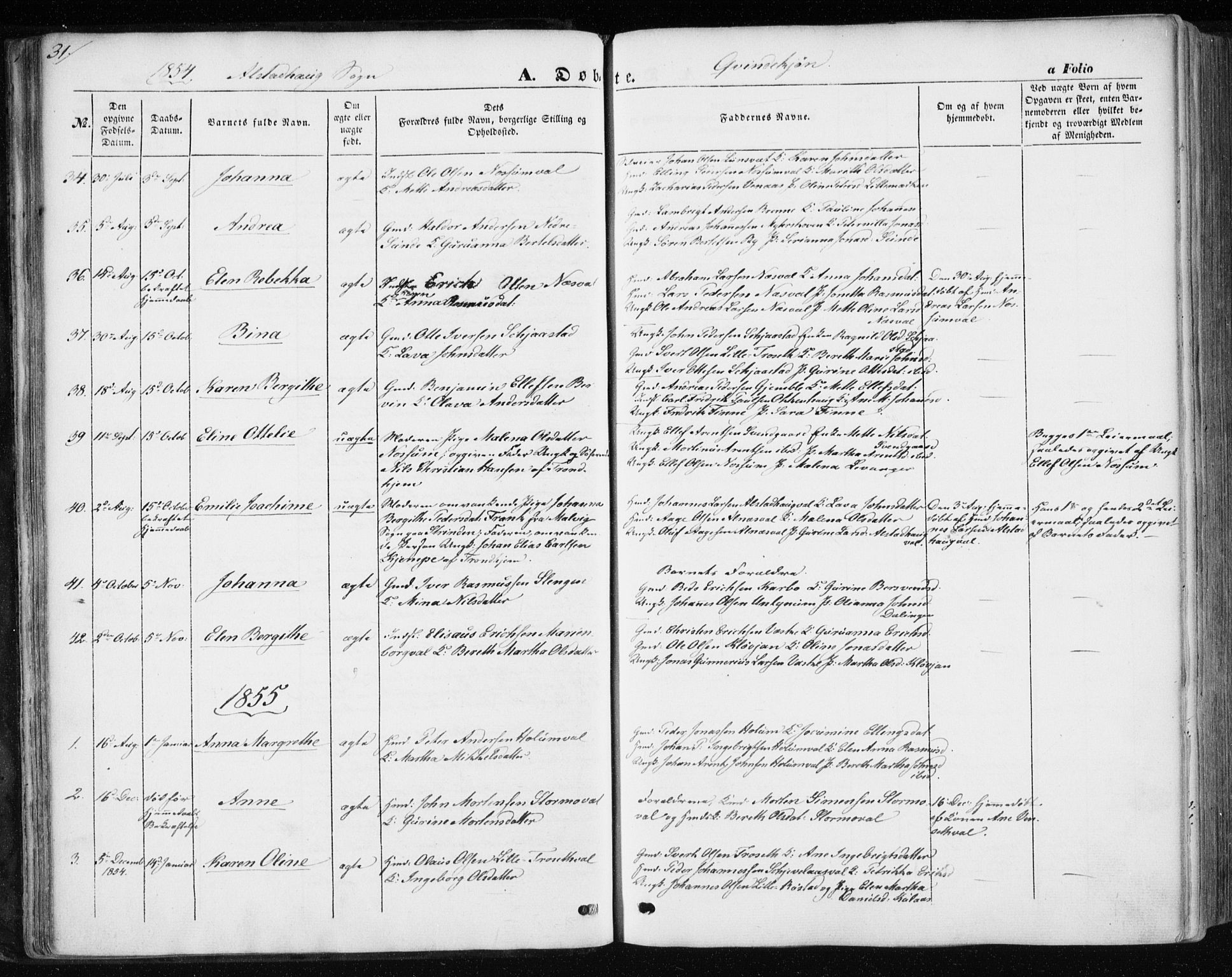 Ministerialprotokoller, klokkerbøker og fødselsregistre - Nord-Trøndelag, SAT/A-1458/717/L0154: Parish register (official) no. 717A07 /1, 1850-1862, p. 31